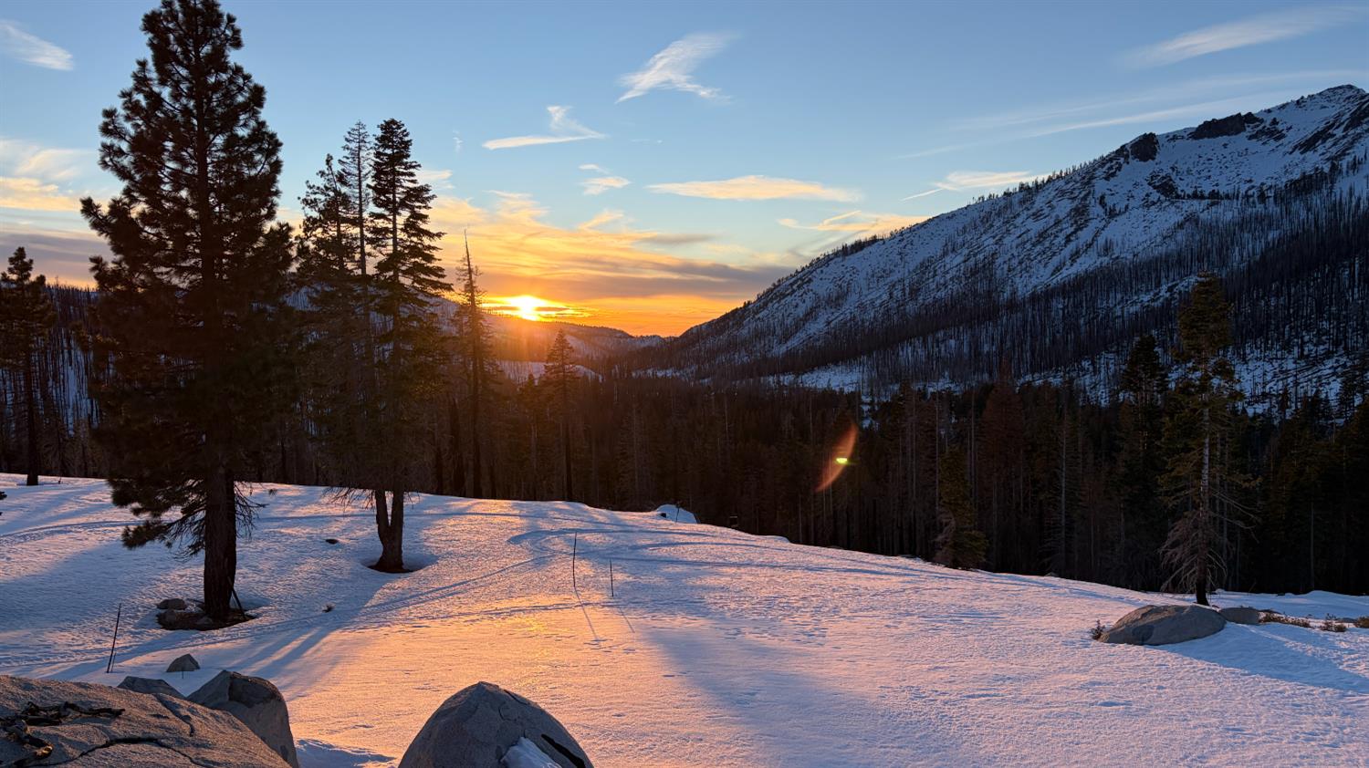a view of swimming pool with a backyard