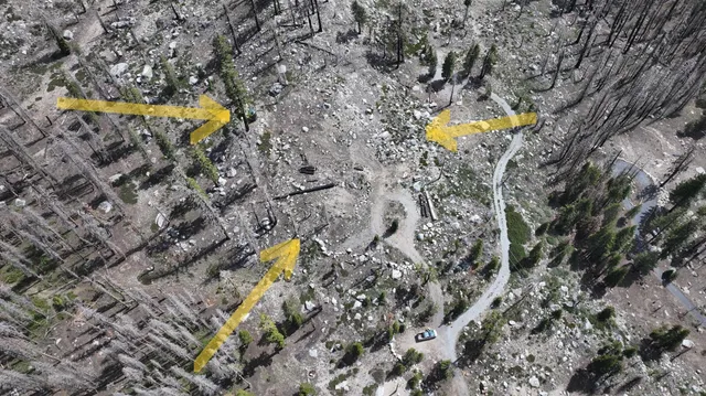 a view of swimming pool and trees in the background