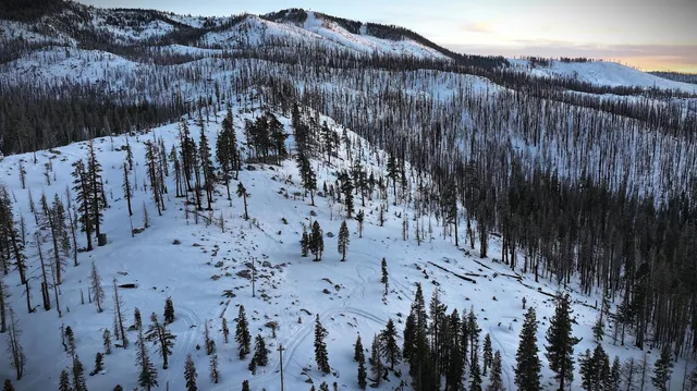 a view of wooden fence of a house