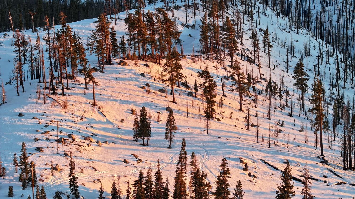 2080 Huckleberry Heights Road Twin Bridges, CA 95735 - Photo 2 of 28 a view of outdoor space with seating