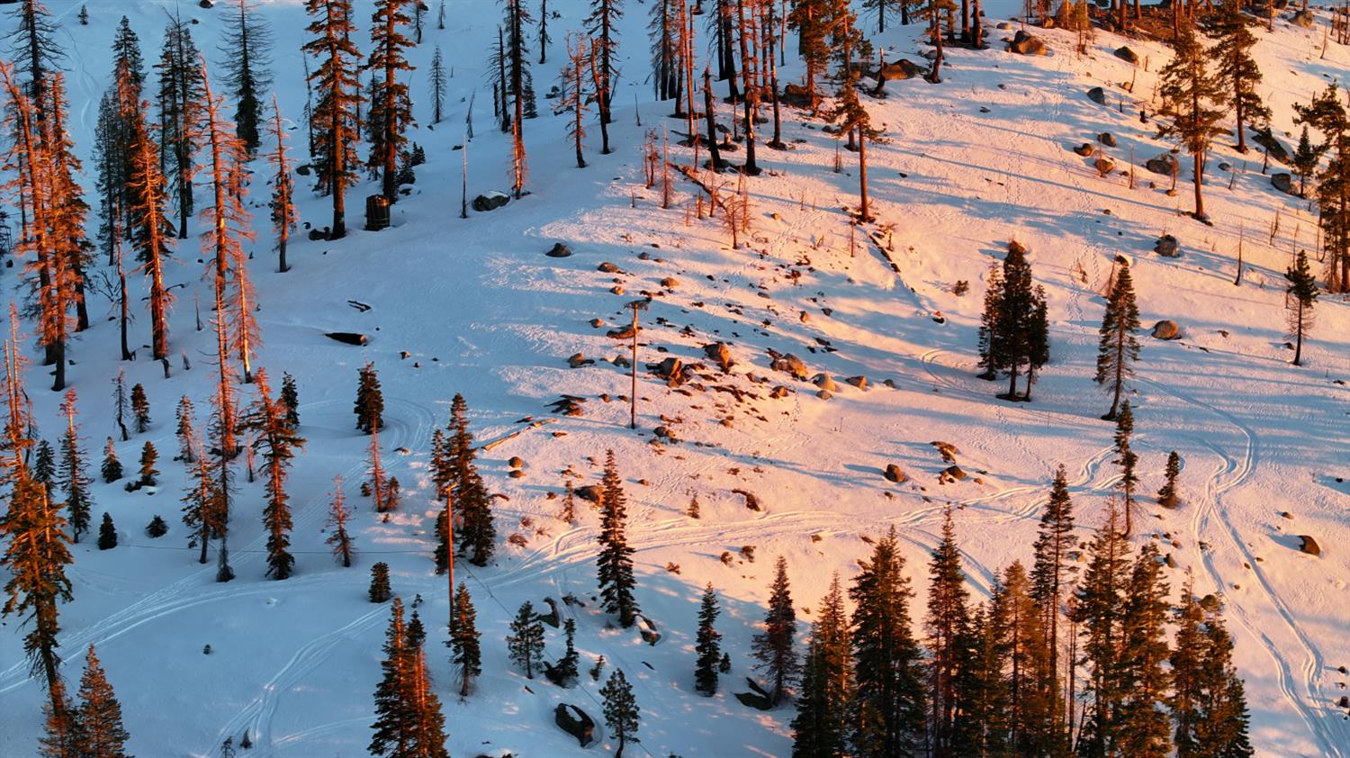 2080 Huckleberry Heights Road Twin Bridges, CA 95735 - Photo 24 of 28 a view of a yard