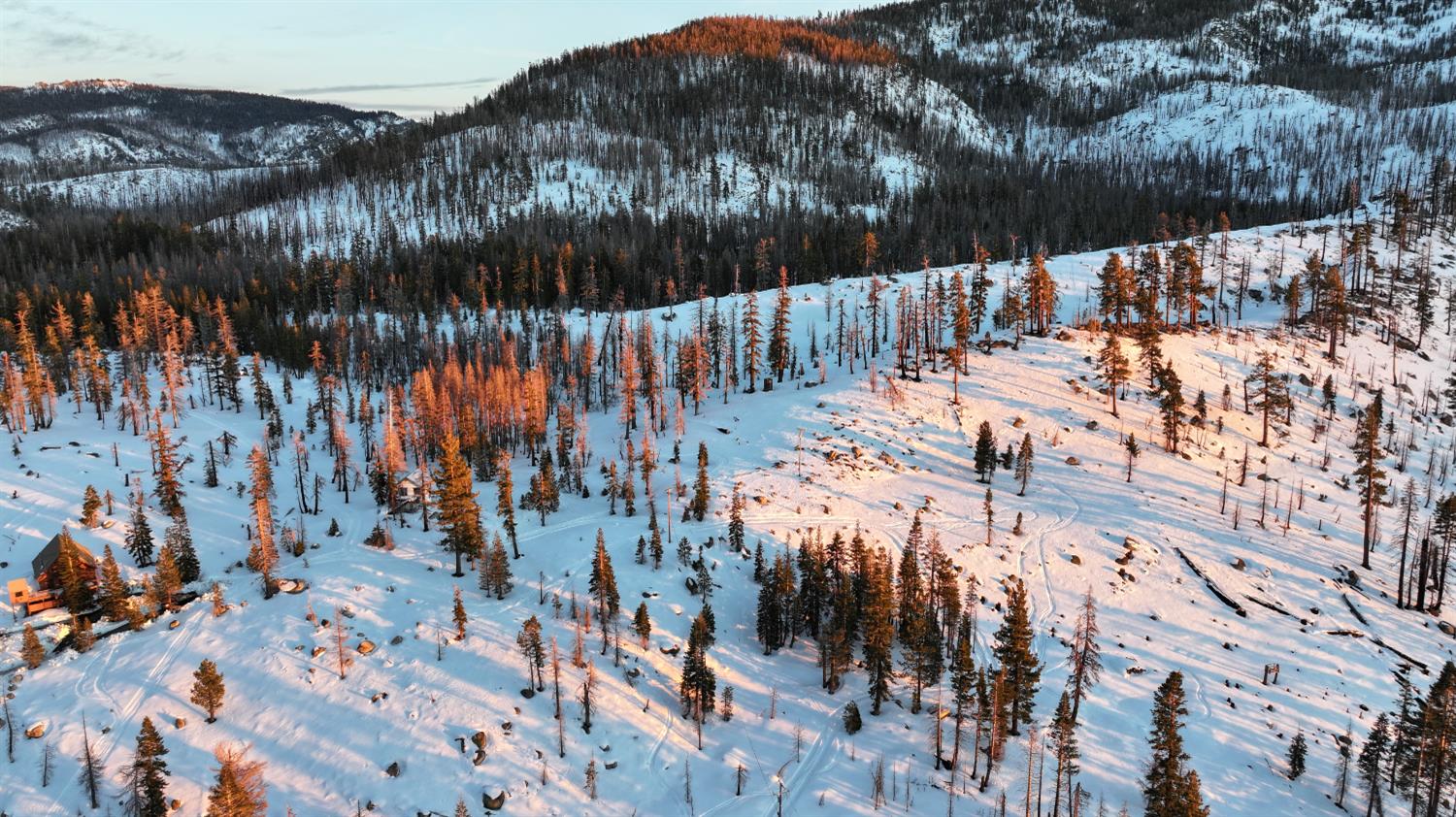 2080 Huckleberry Heights Road Twin Bridges, CA 95735 - Photo 25 of 28 a view of outdoor space with garden
