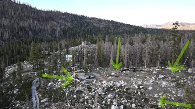 a view of a backyard with plants and a wooden fence