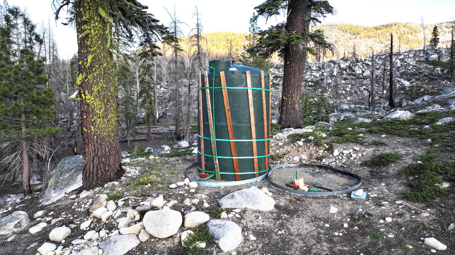 2080 Huckleberry Heights Road Twin Bridges, CA 95735 - Photo 10 of 28 a view of a tree with yard