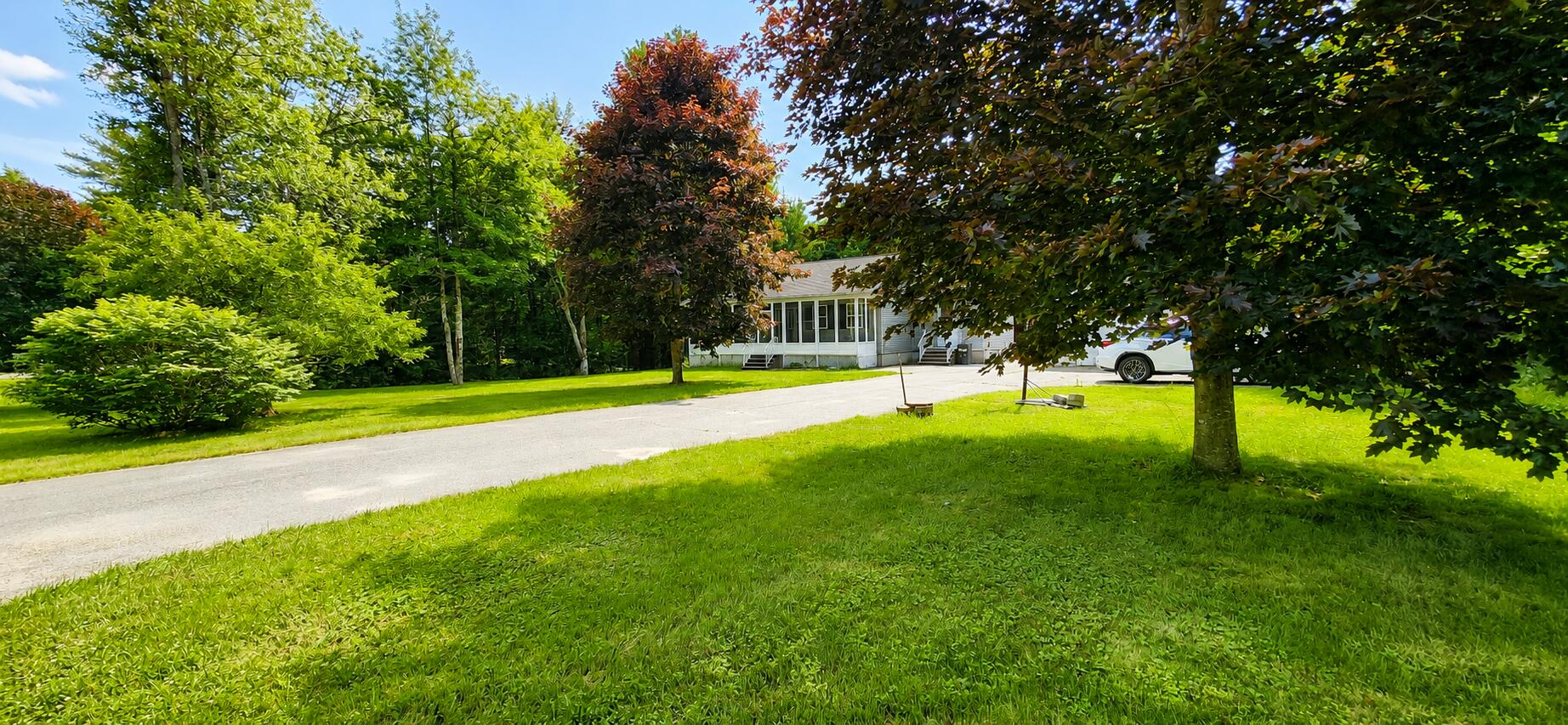 81 10 Road Bradley, ME 04411 - Photo 32 of 32 Trees
