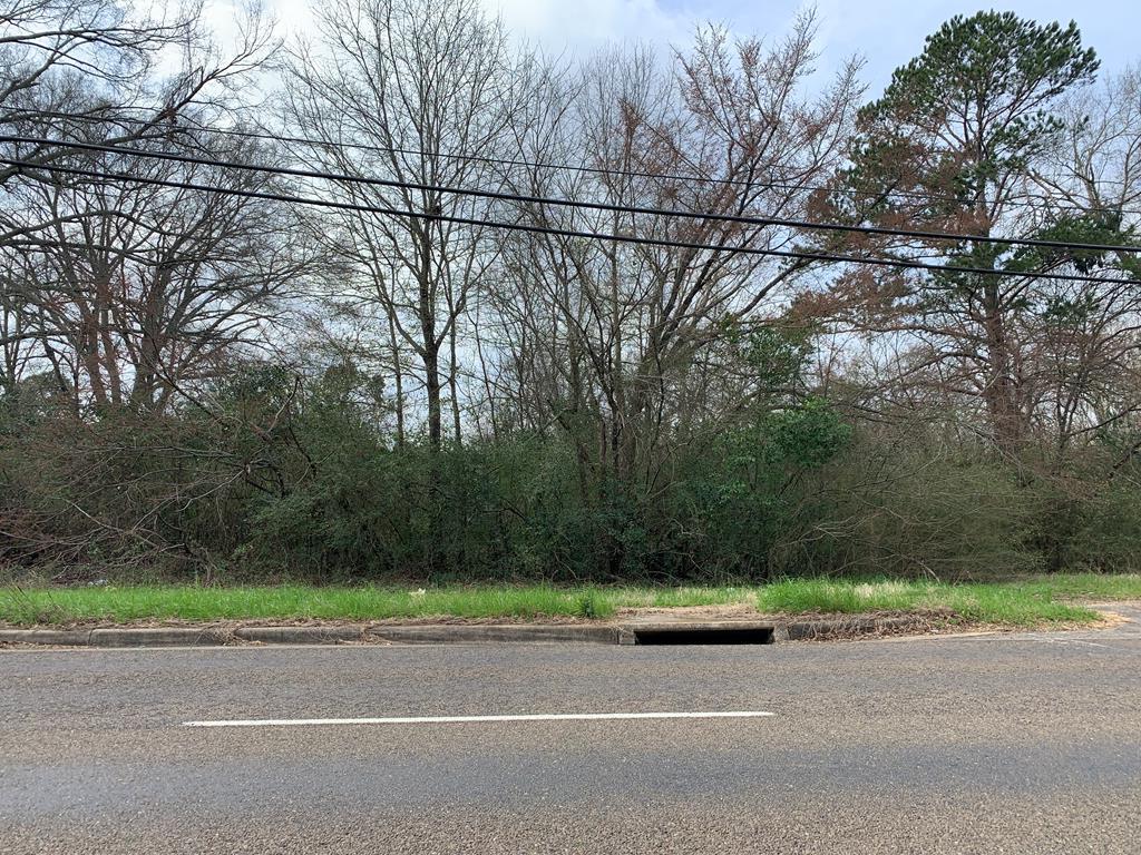 0 Crockett Road Palestine, TX 75801 - Photo 1 of 1