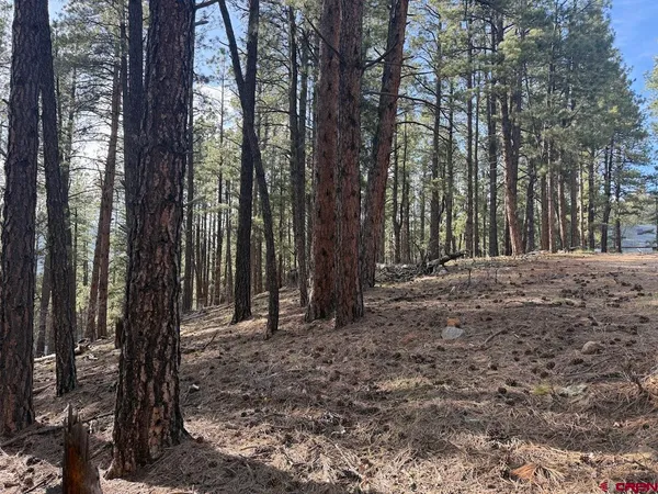 a view of outdoor space and trees
