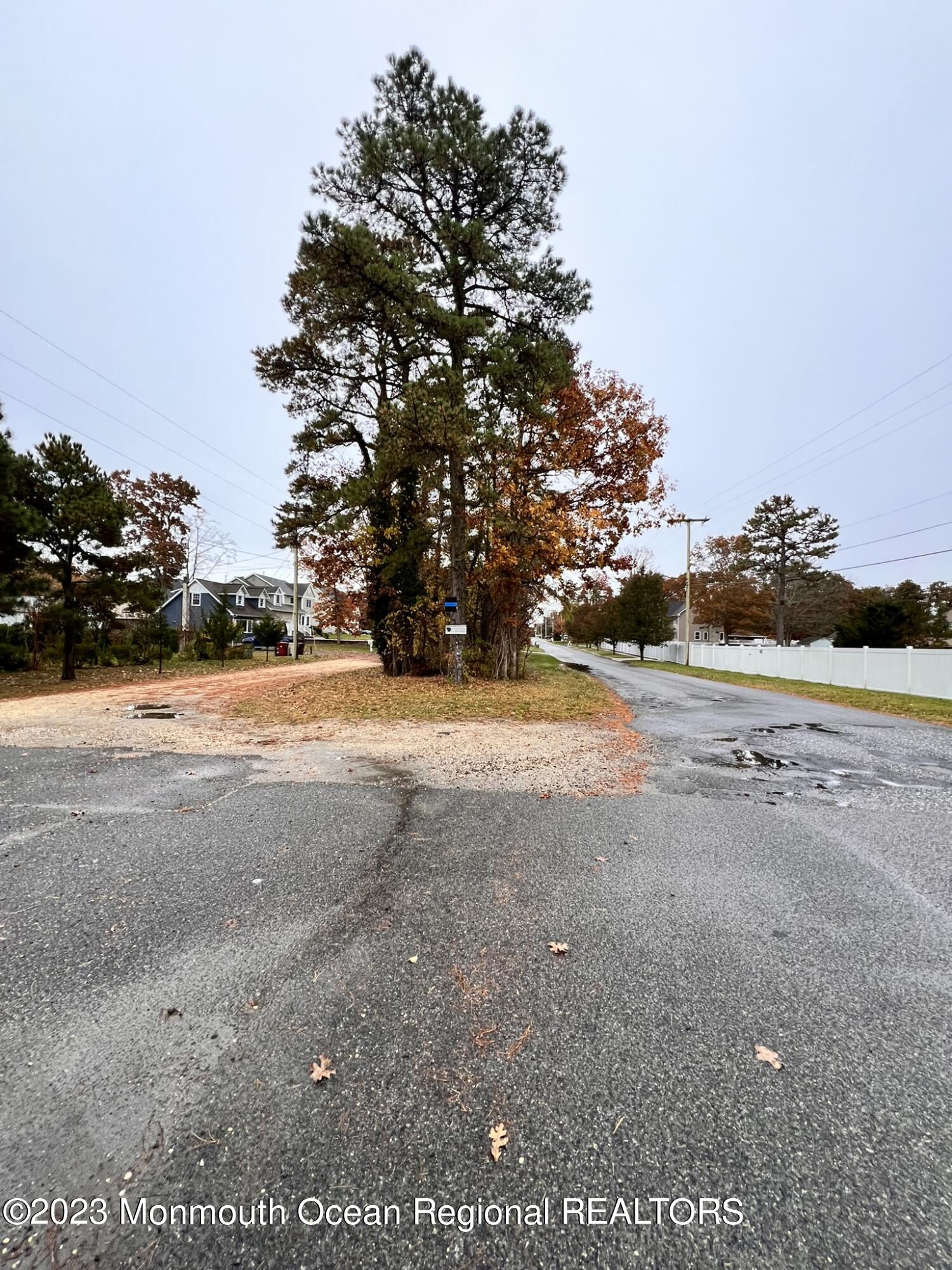 515 Eastern Boulevard Bayville, NJ 08721 - Photo 38 of 38 a view of yard with tree and car parked