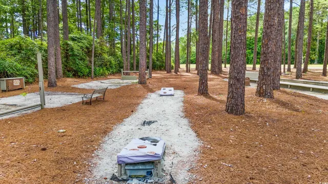 $260,000 | 105 Hickory Drive, Conway, SC 29526