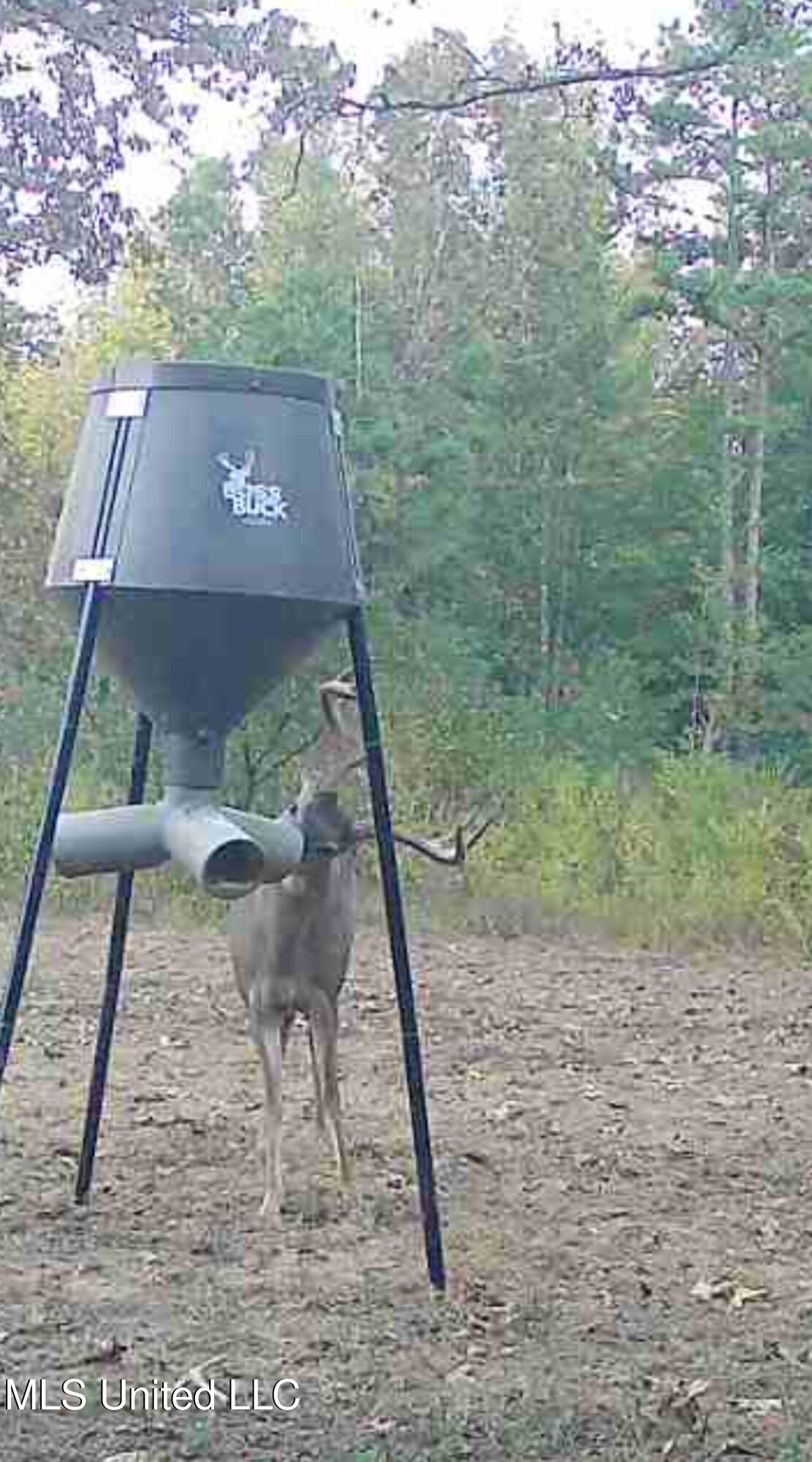 70 County Road Coffeeville, MS 38922 - Photo 11 of 49 1