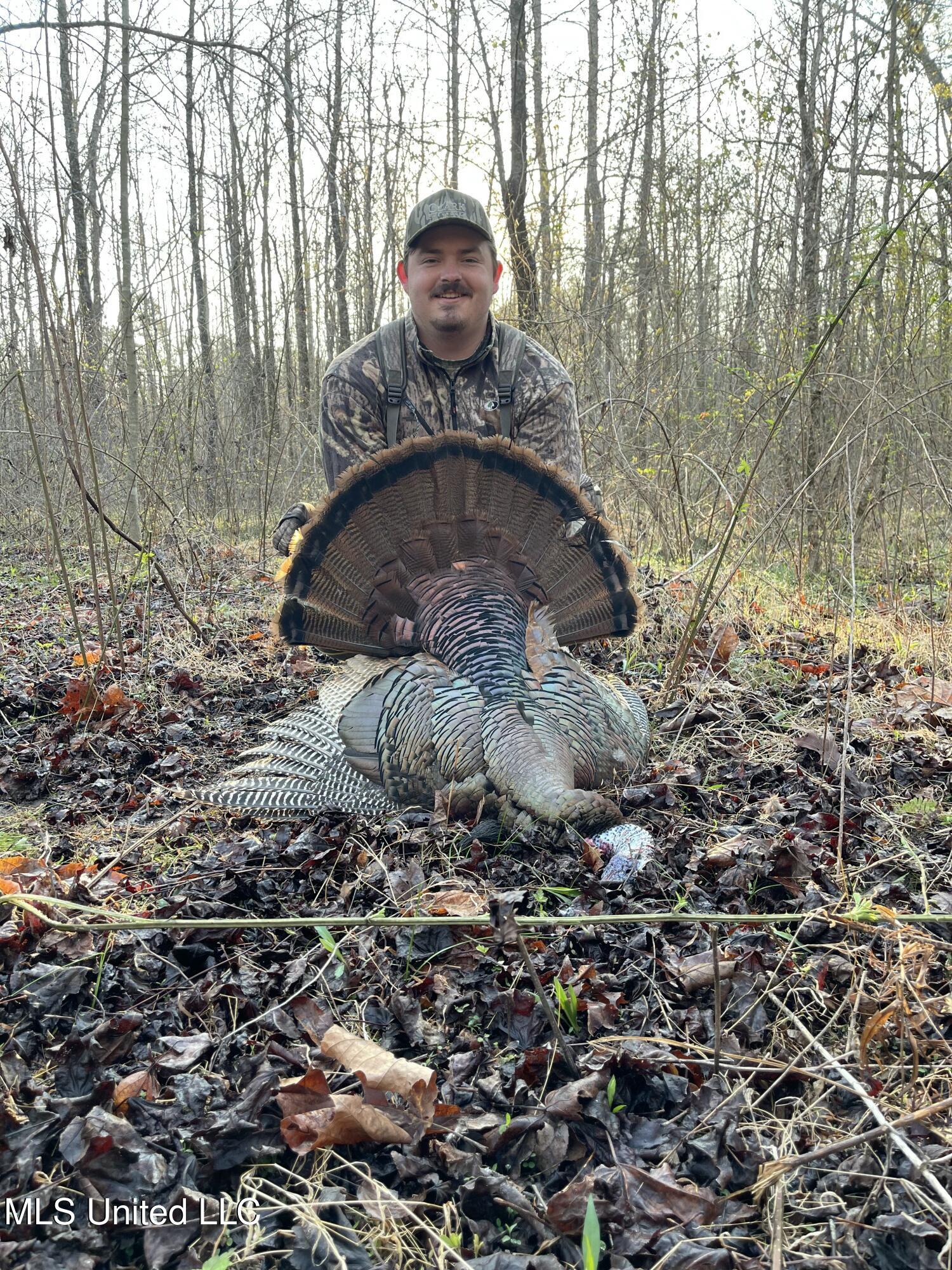 70 County Road Coffeeville, MS 38922 - Photo 12 of 49 2