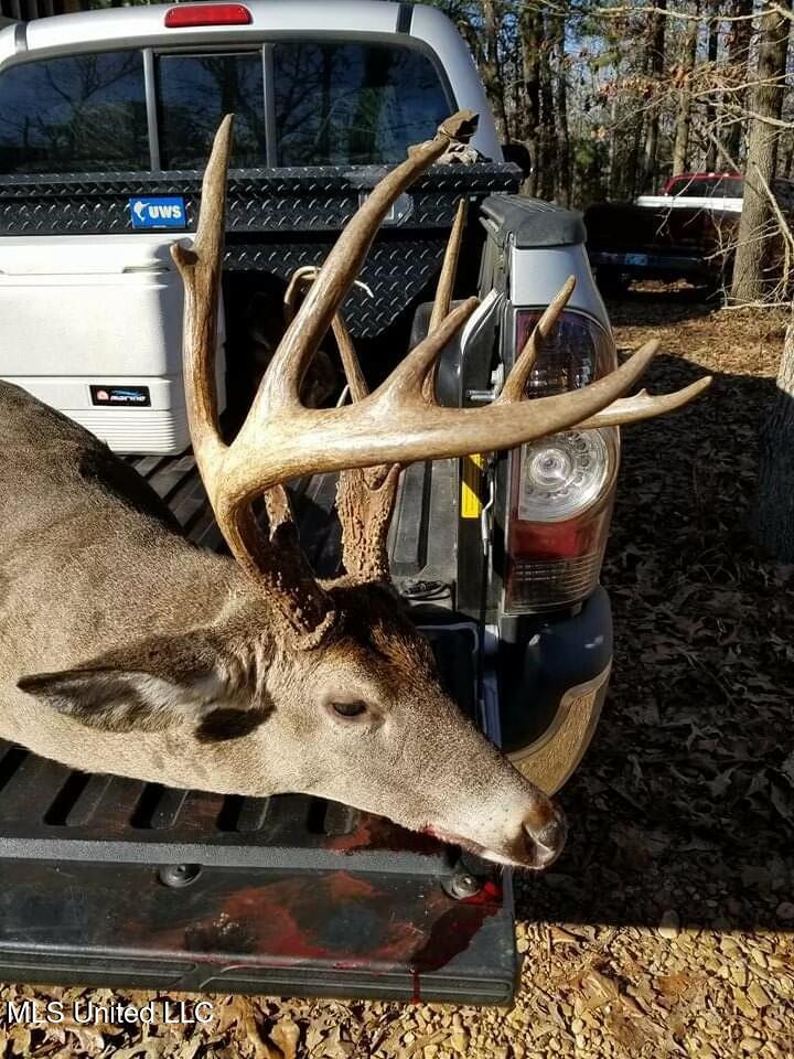 70 County Road Coffeeville, MS 38922 - Photo 13 of 49 3