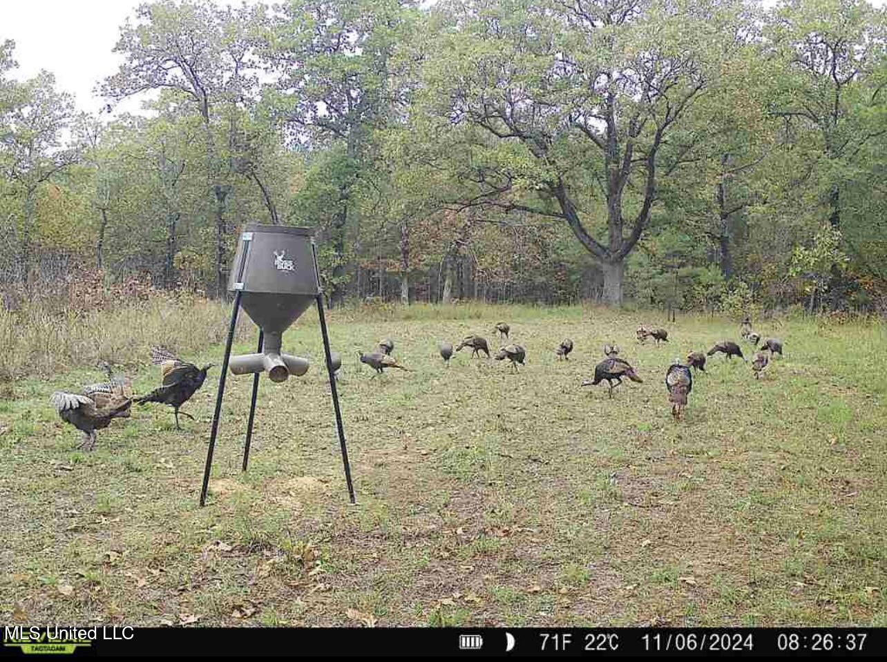 70 County Road Coffeeville, MS 38922 - Photo 15 of 49 4