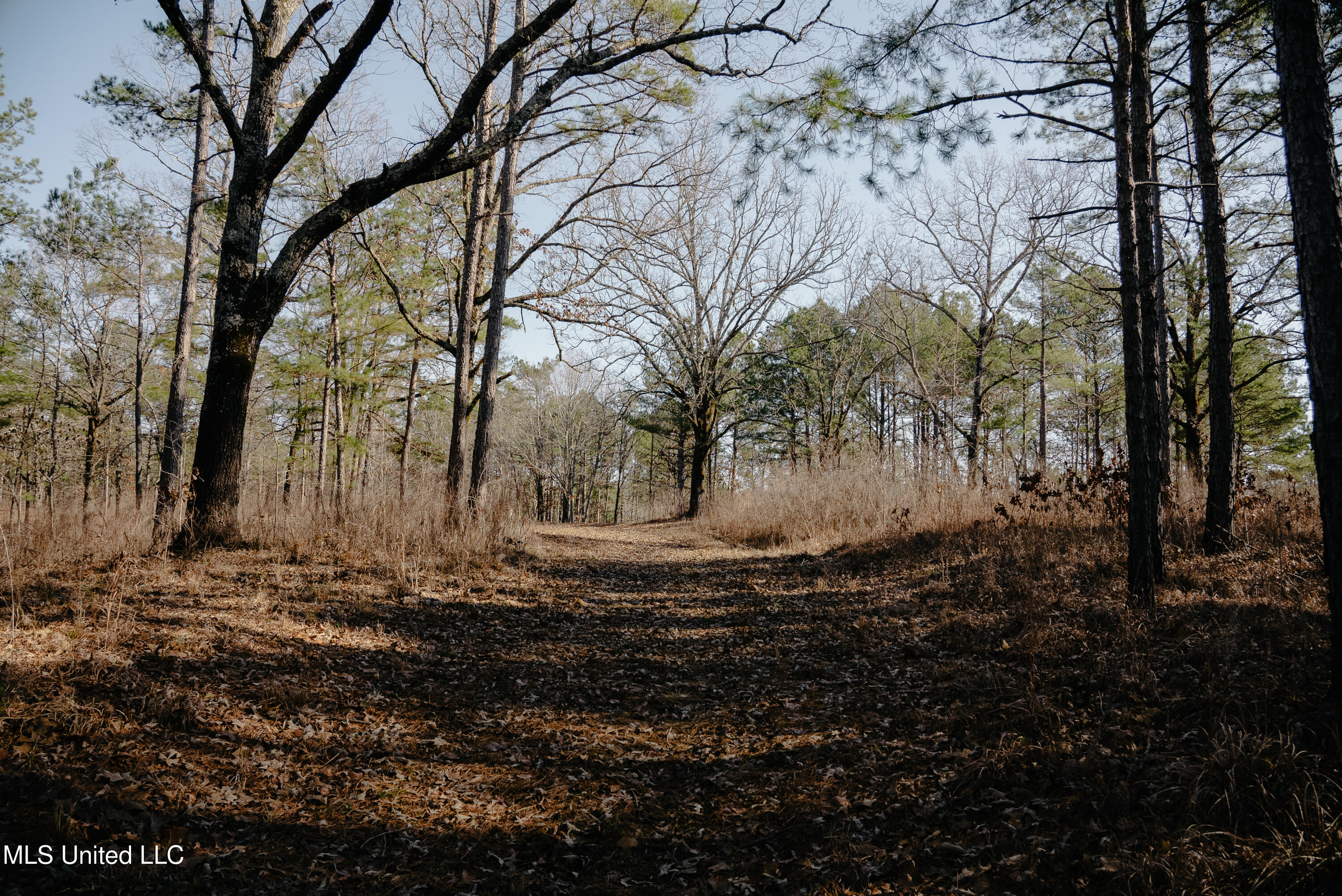 70 County Road Coffeeville, MS 38922 - Photo 17 of 49 DSC03585-2