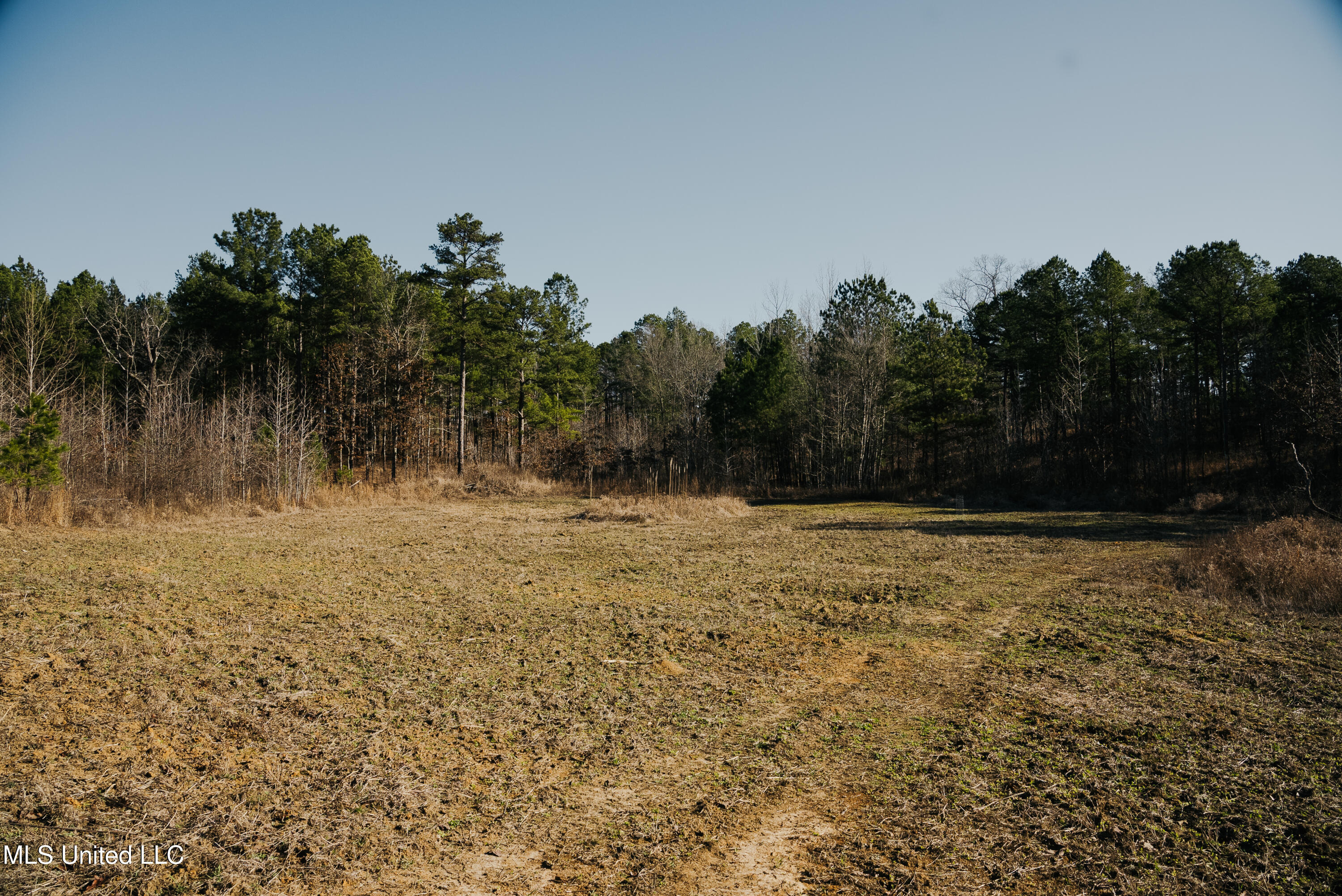 70 County Road Coffeeville, MS 38922 - Photo 20 of 49 DSC03599