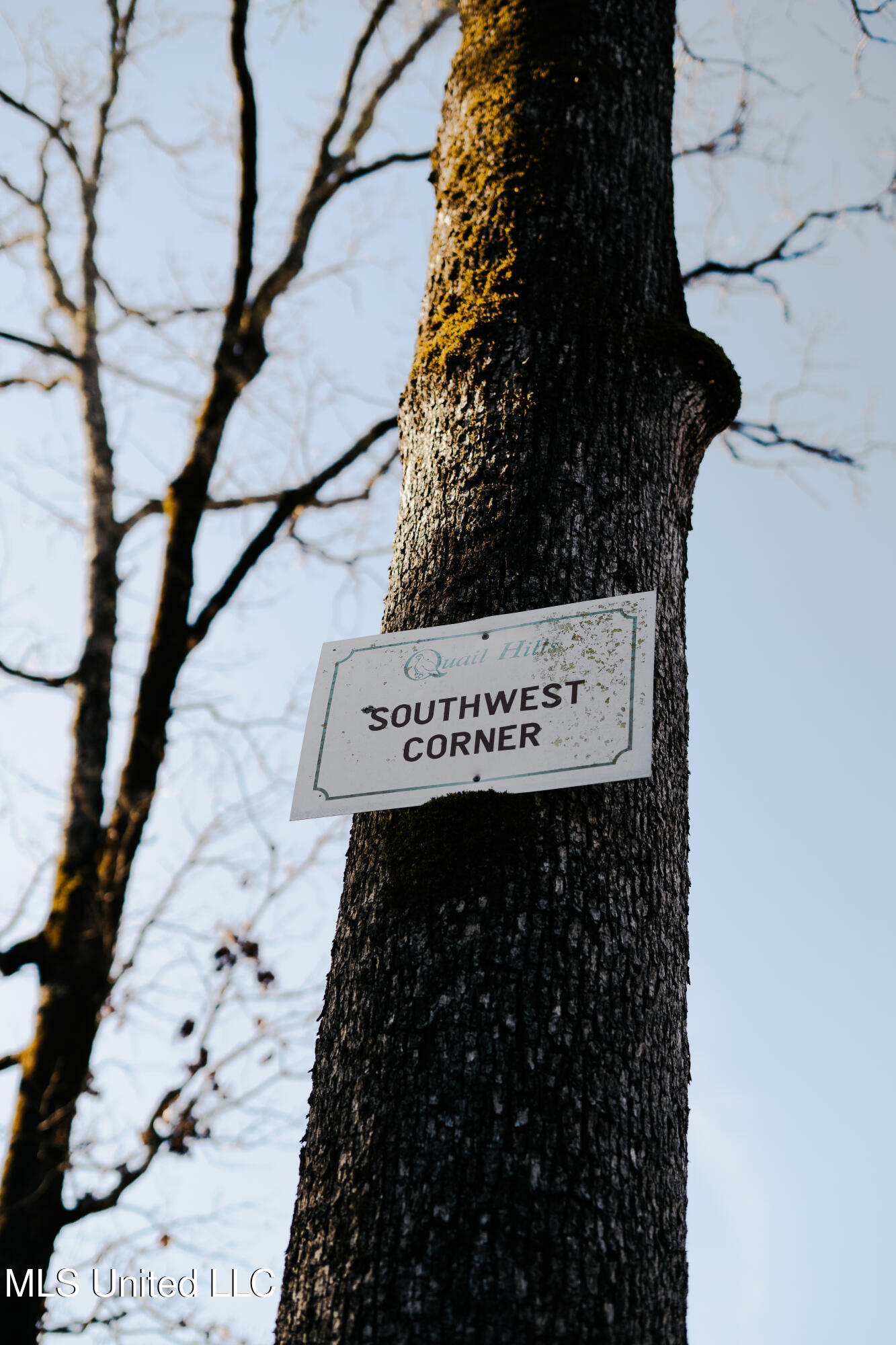 70 County Road Coffeeville, MS 38922 - Photo 22 of 49 DSC05672