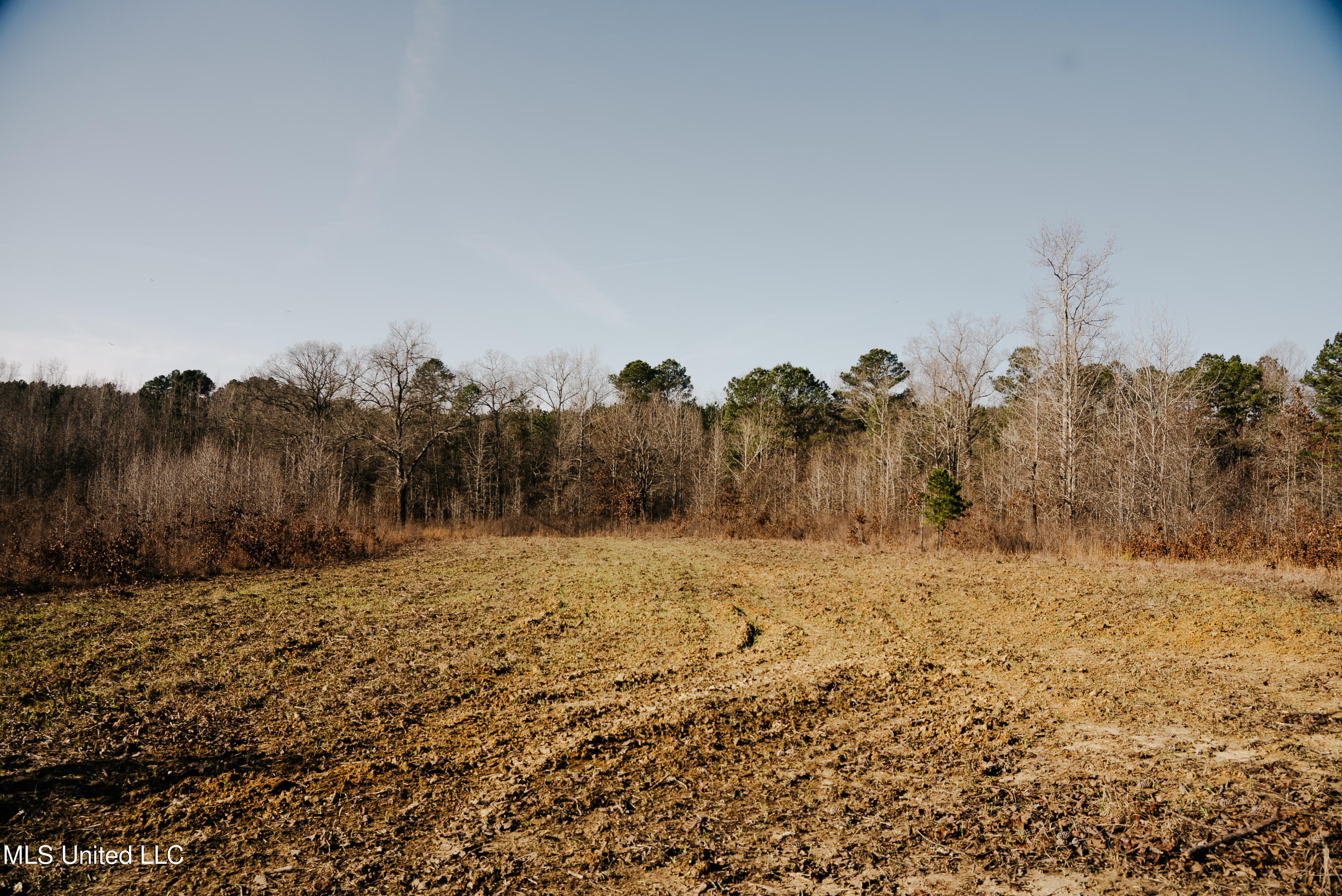 70 County Road Coffeeville, MS 38922 - Photo 24 of 49 DSC03466