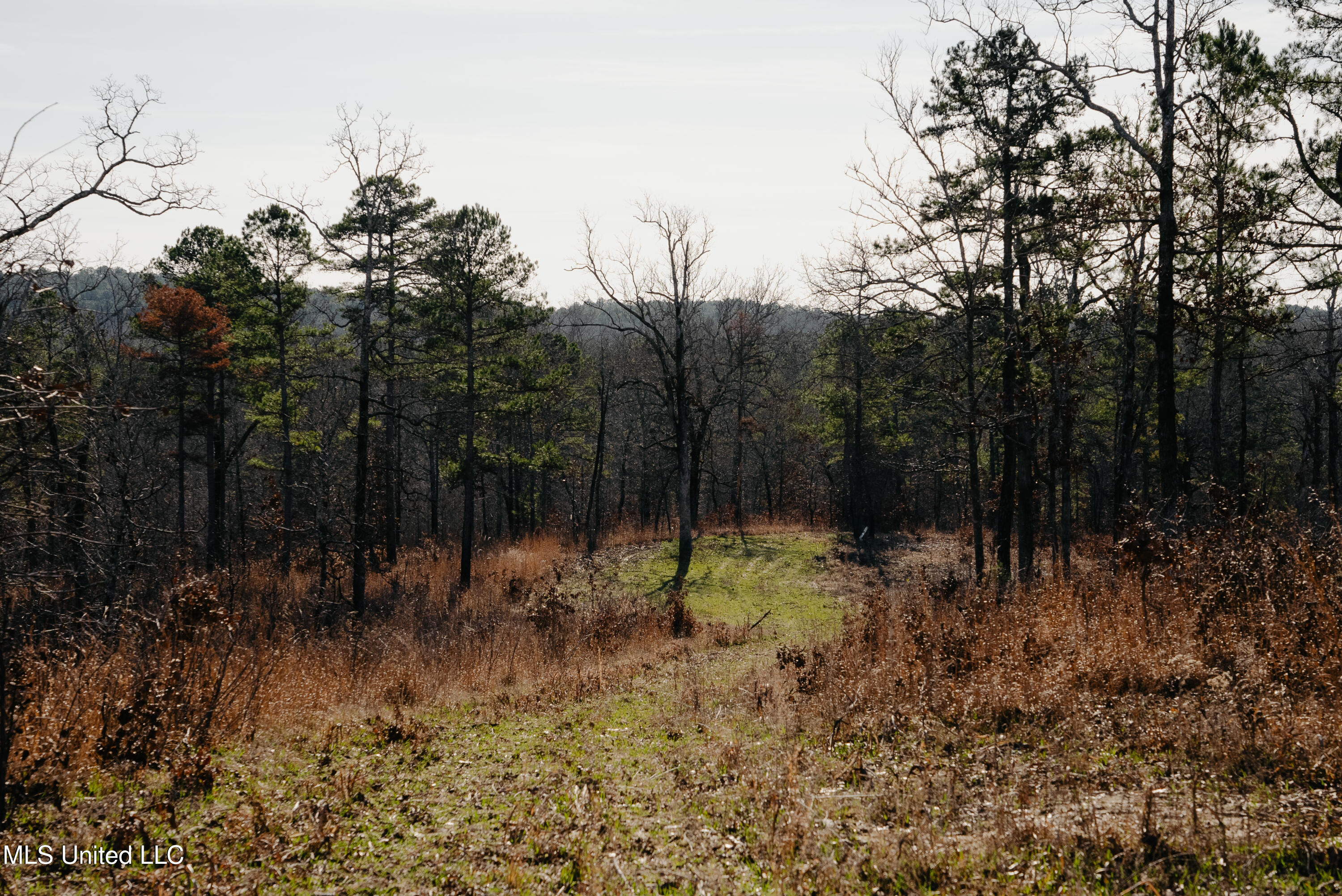 70 County Road Coffeeville, MS 38922 - Photo 25 of 49 DSC03537