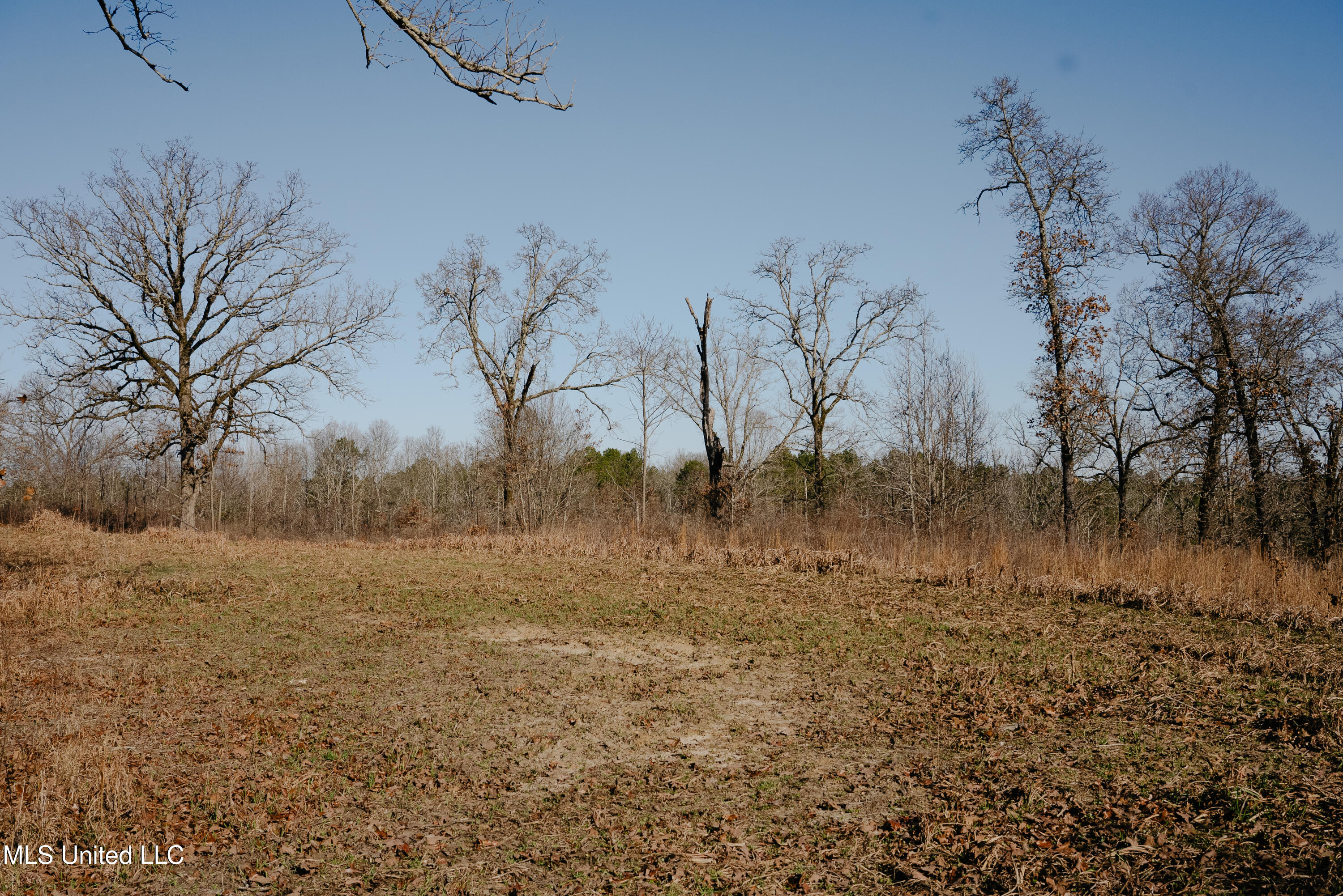 70 County Road Coffeeville, MS 38922 - Photo 27 of 49 DSC03556