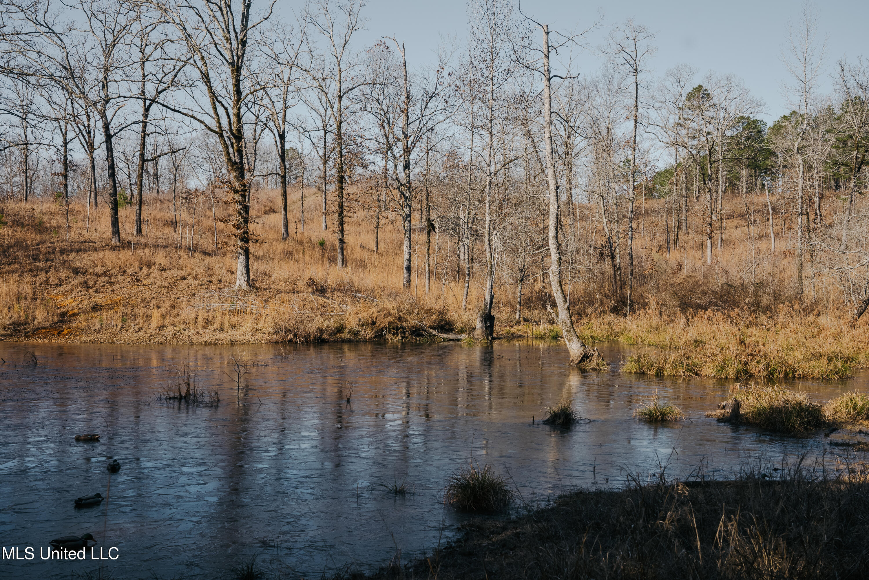 70 County Road Coffeeville, MS 38922 - Photo 28 of 49 DSC03608