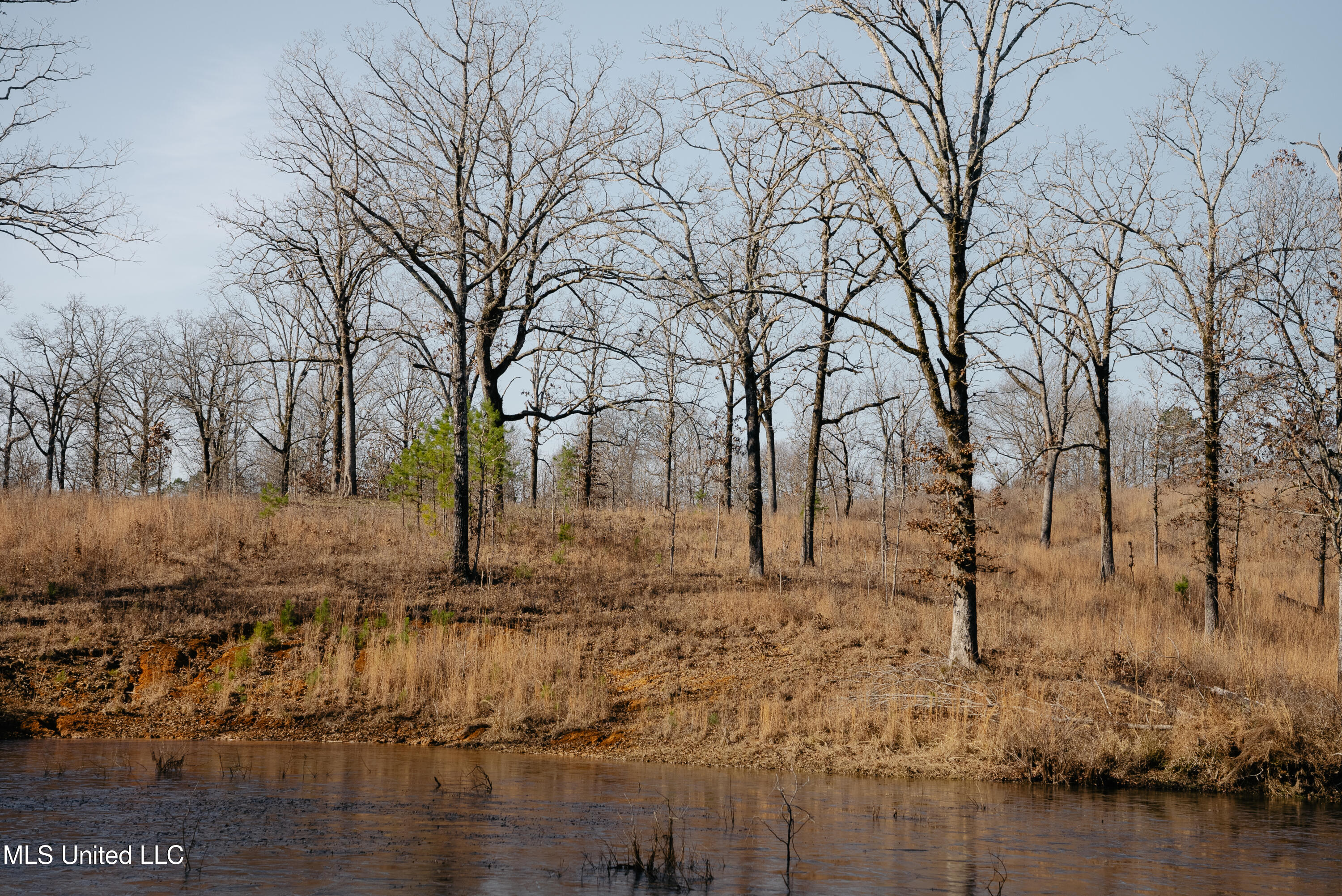 70 County Road Coffeeville, MS 38922 - Photo 29 of 49 DSC03625