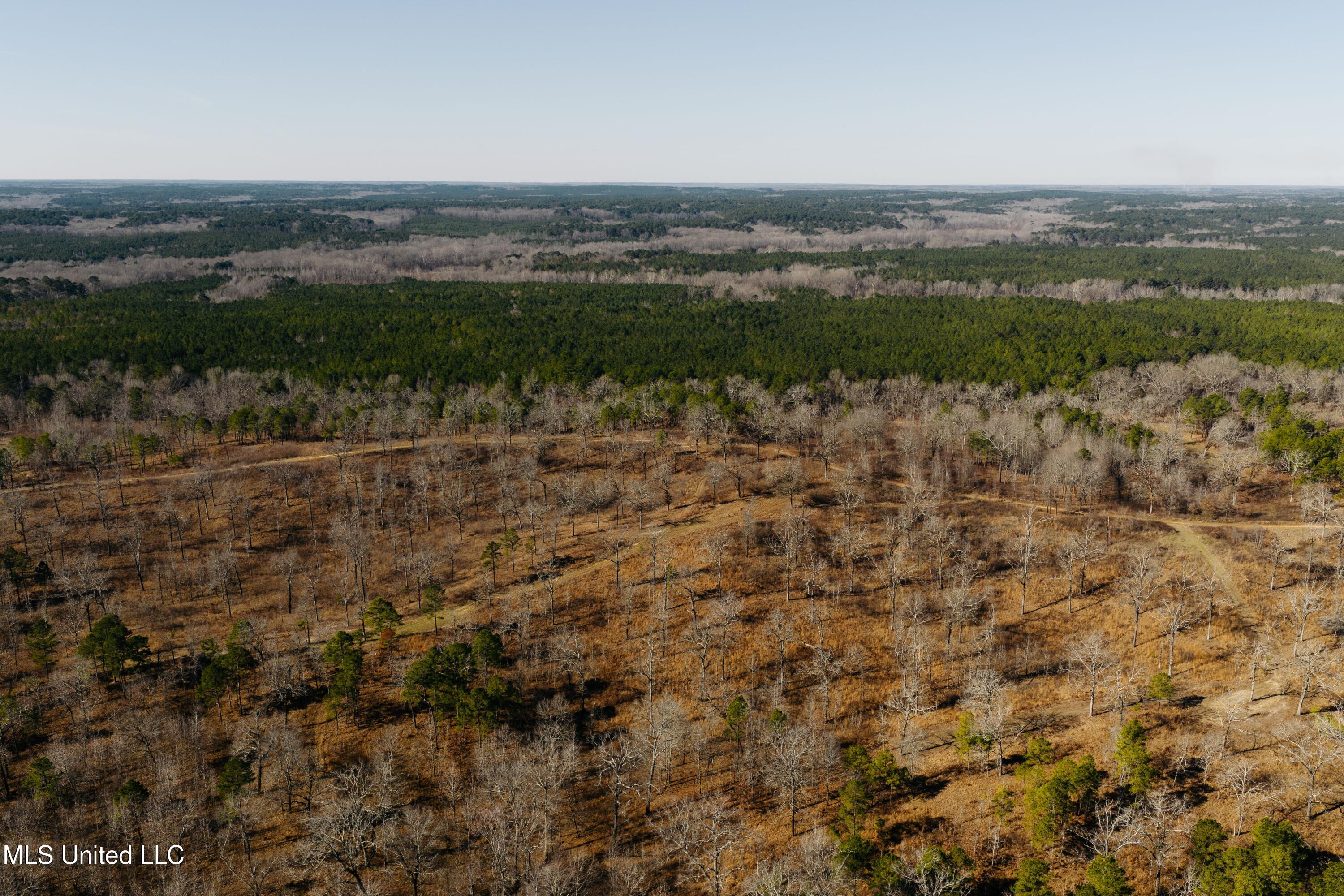 70 County Road Coffeeville, MS 38922 - Photo 30 of 49 DJI_20260121004859_0113_D