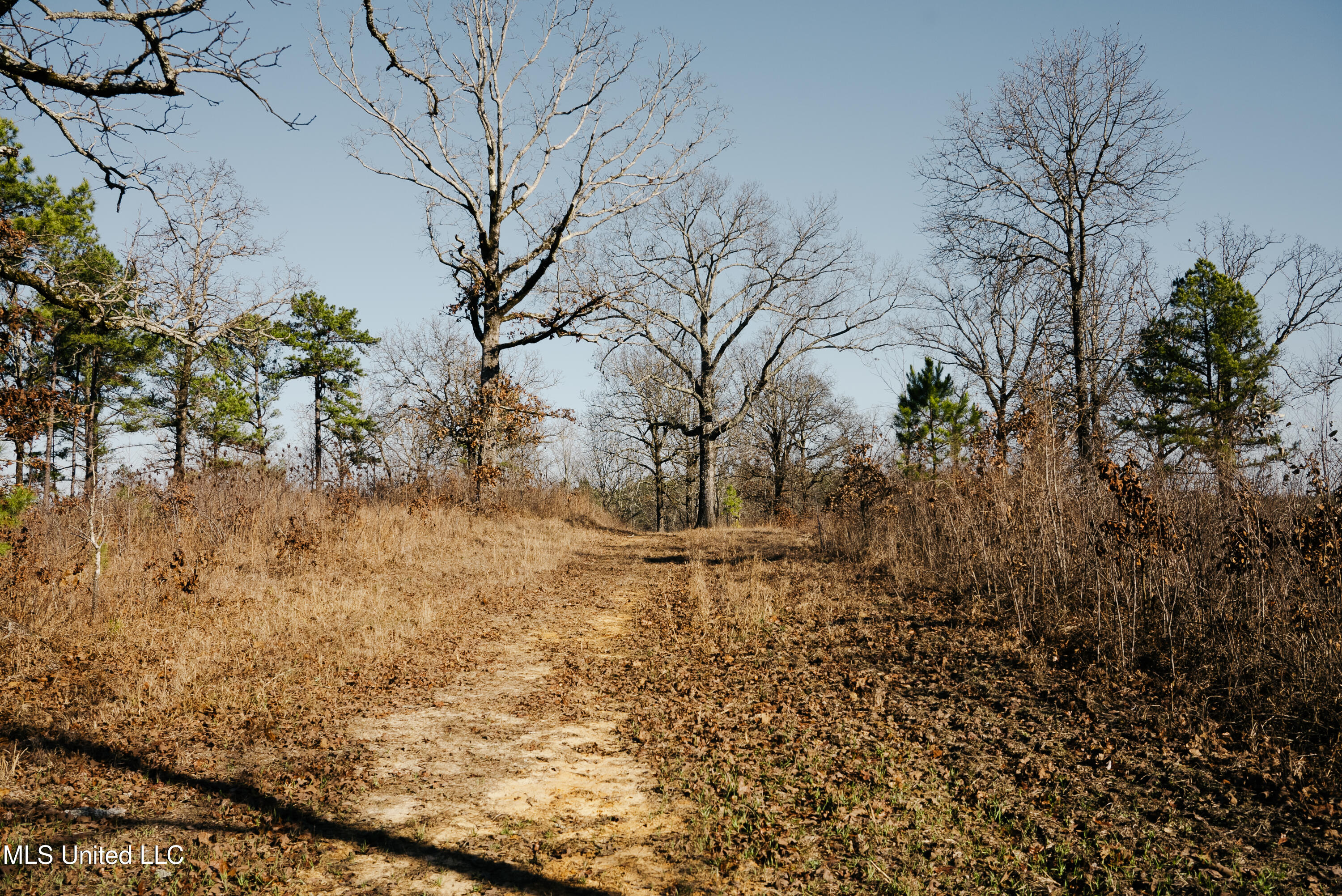 70 County Road Coffeeville, MS 38922 - Photo 3 of 49 2