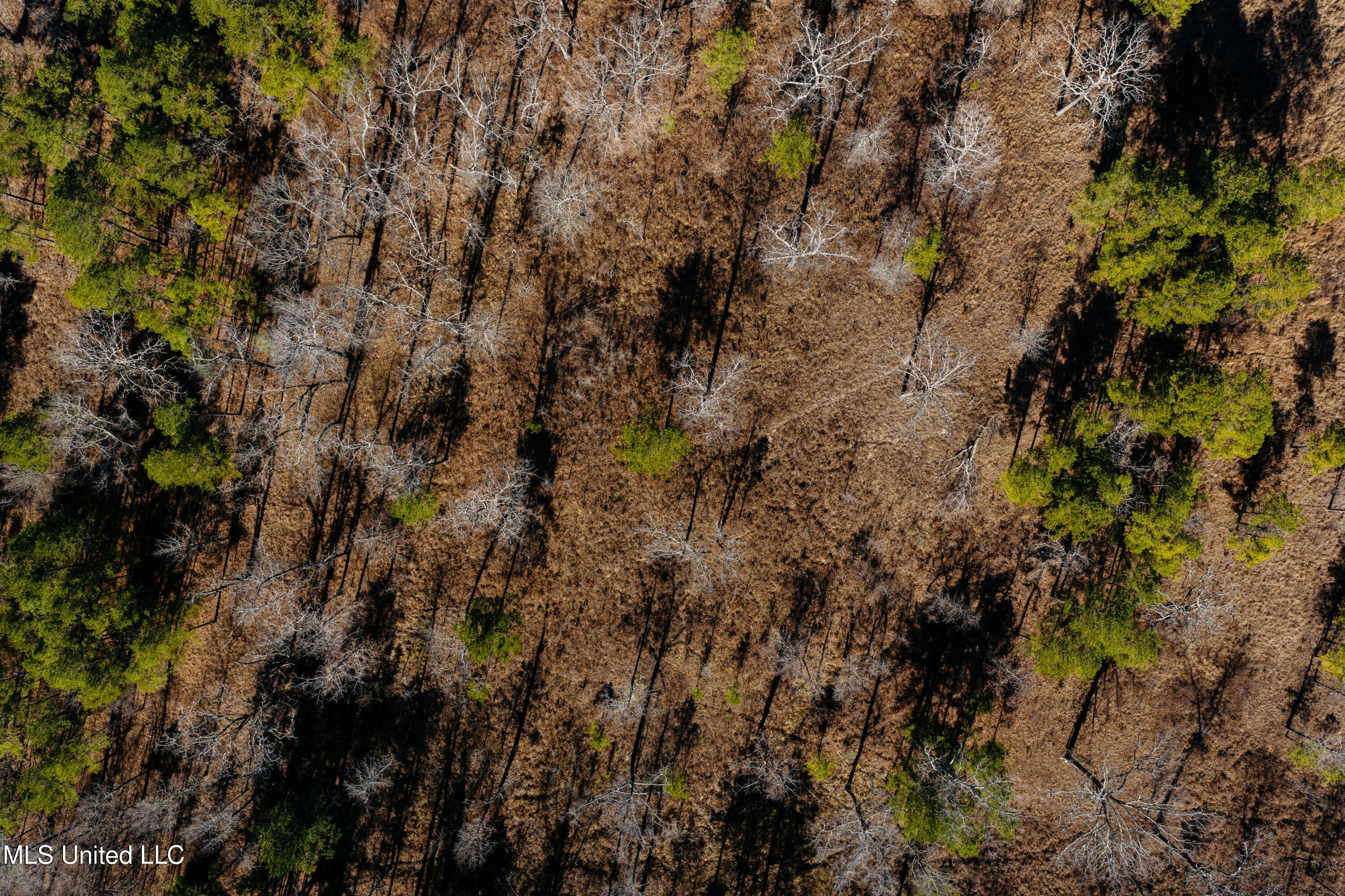 70 County Road Coffeeville, MS 38922 - Photo 31 of 49 DJI_20260121005018_0134_D