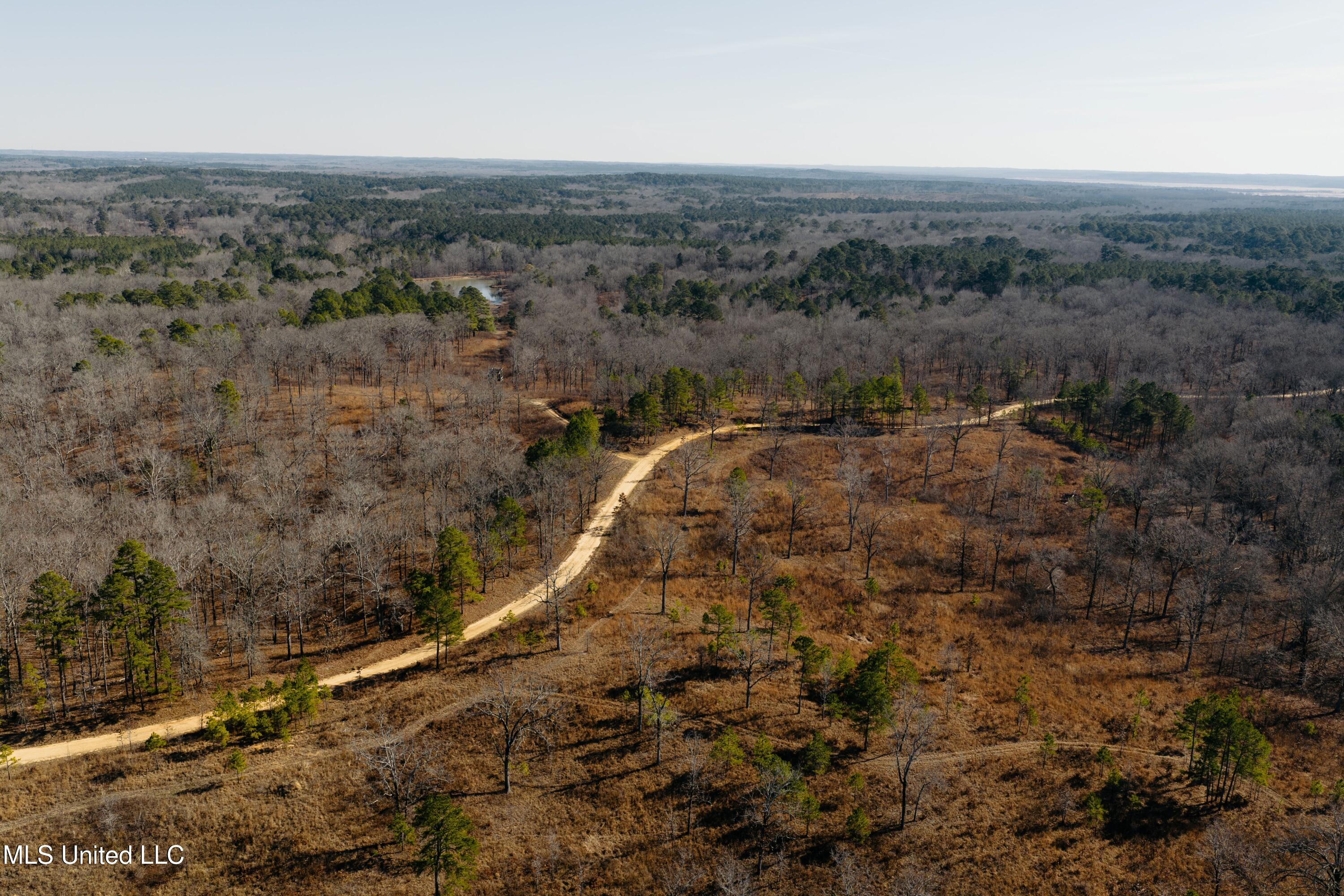 70 County Road Coffeeville, MS 38922 - Photo 32 of 49 DJI_20260121004315_0070_D