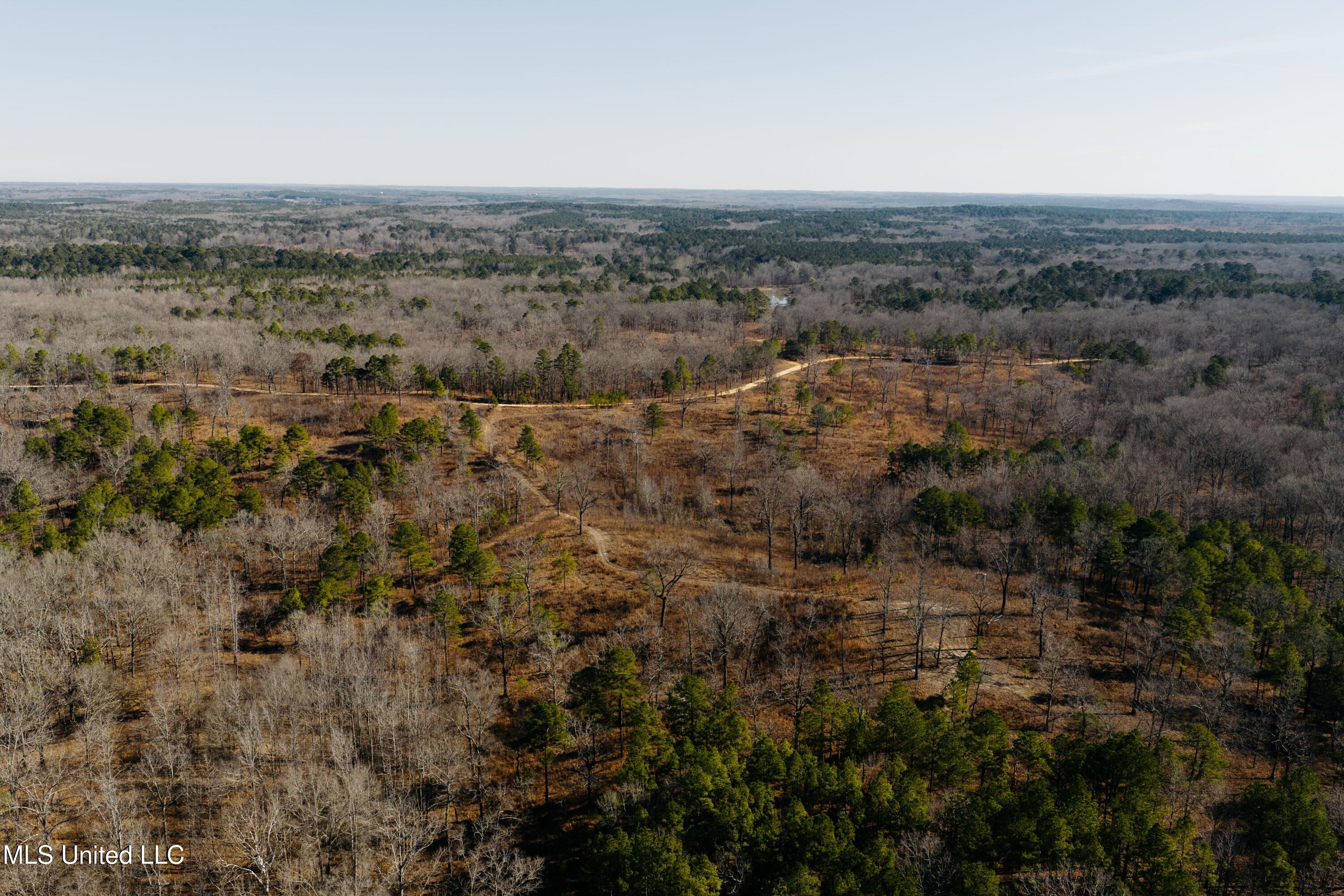 70 County Road Coffeeville, MS 38922 - Photo 33 of 49 DJI_20260121004215_0057_D