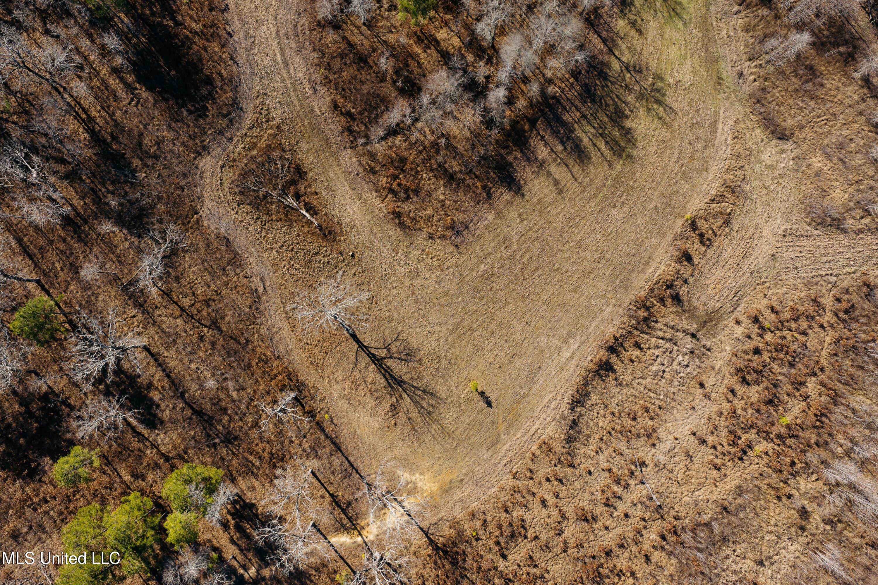 70 County Road Coffeeville, MS 38922 - Photo 34 of 49 DJI_20260121004103_0048_D