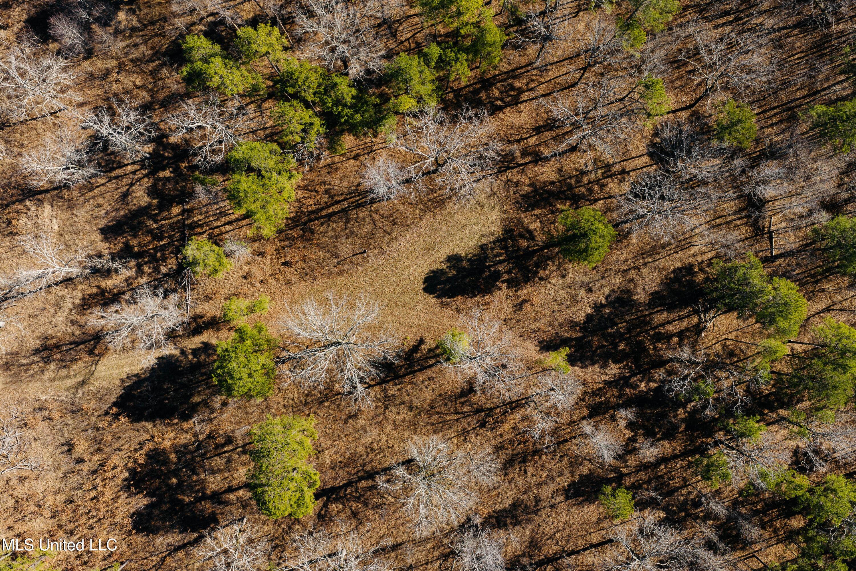 70 County Road Coffeeville, MS 38922 - Photo 35 of 49 DJI_20260121004035_0045_D