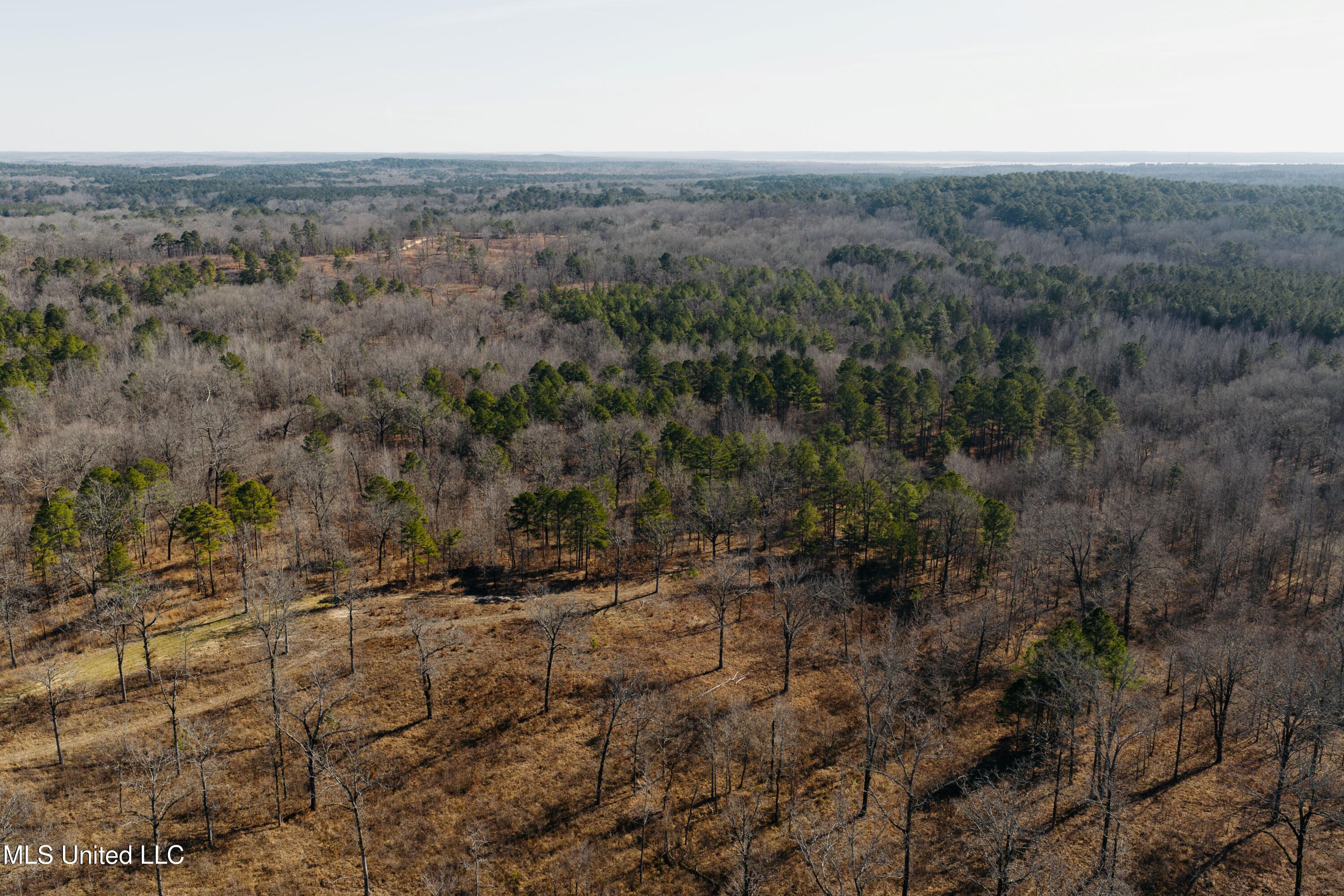 70 County Road Coffeeville, MS 38922 - Photo 36 of 49 DJI_20260121003925_0036_D