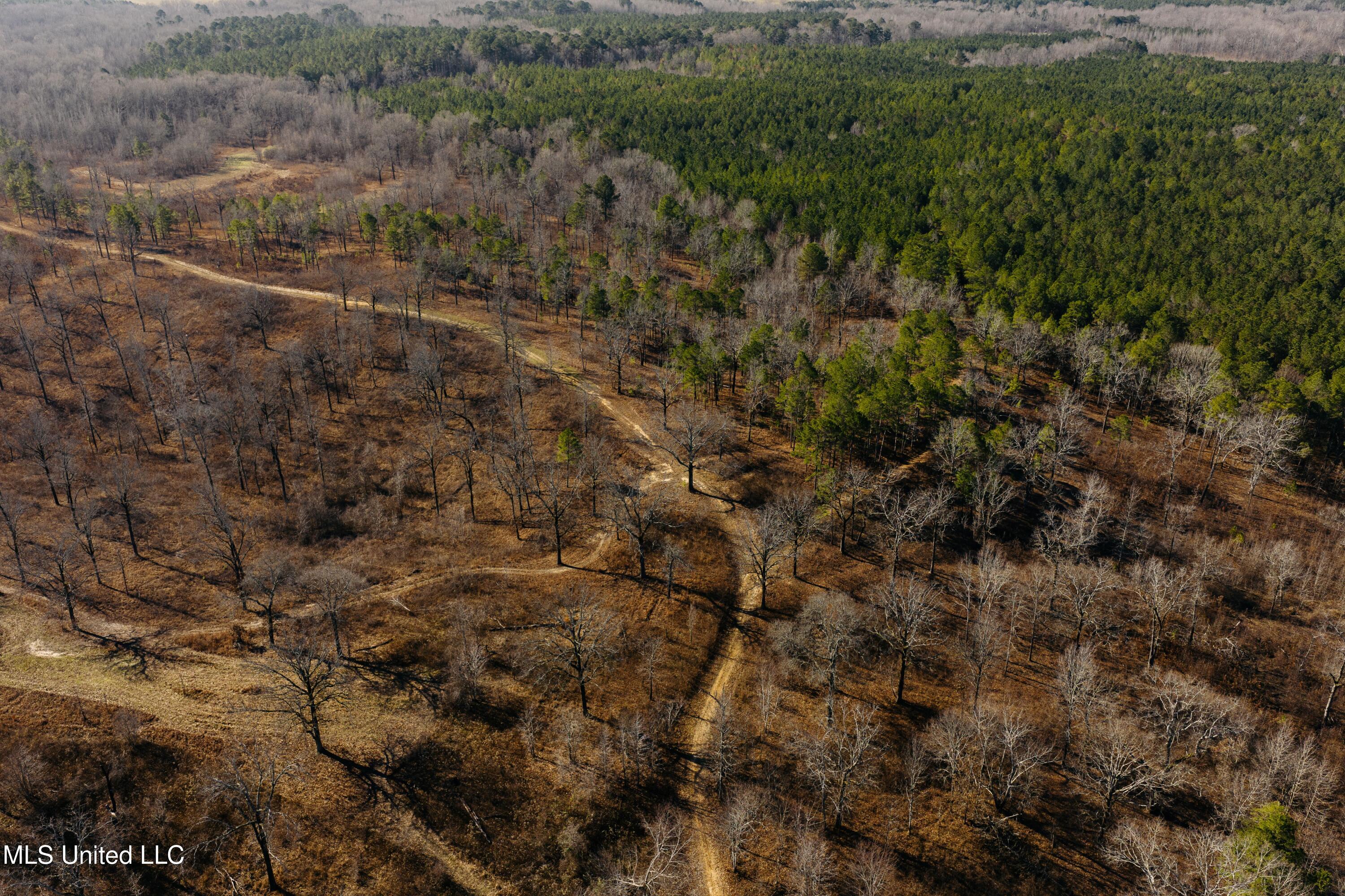 70 County Road Coffeeville, MS 38922 - Photo 37 of 49 DJI_20260121003756_0023_D
