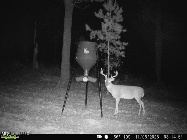 70 County Road Coffeeville, MS 38922 - Photo 39 of 49 860322062543571-100-3-11082025031450-V-W