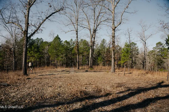 $699,000 | 70 County Road, Coffeeville, MS 38922