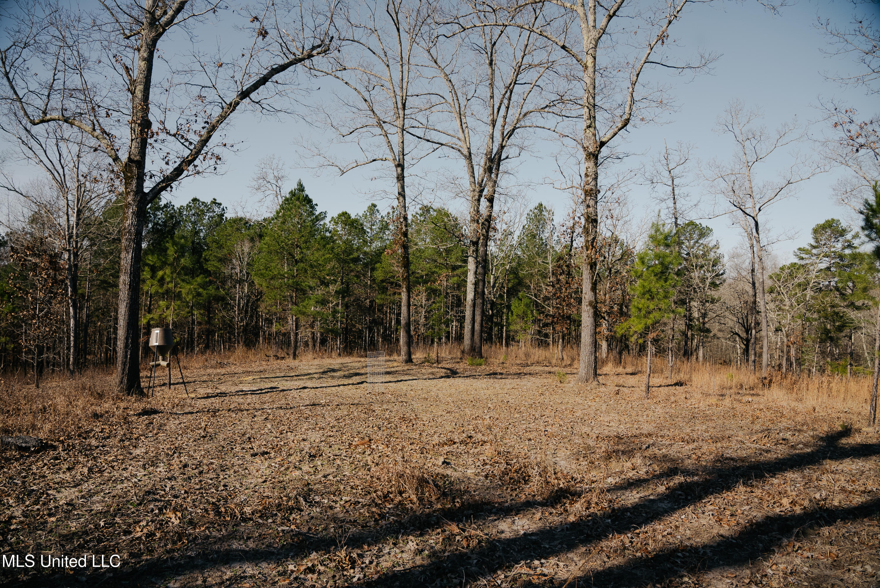 70 County Road Coffeeville, MS 38922 - Photo 4 of 49 3 (1)