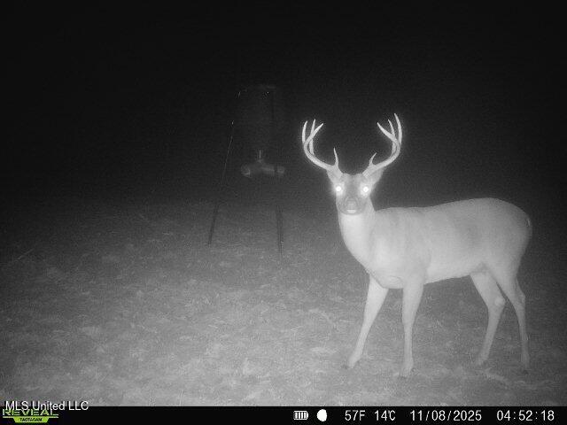 70 County Road Coffeeville, MS 38922 - Photo 41 of 49 860322065126648-100-2-11082025045218-V-W