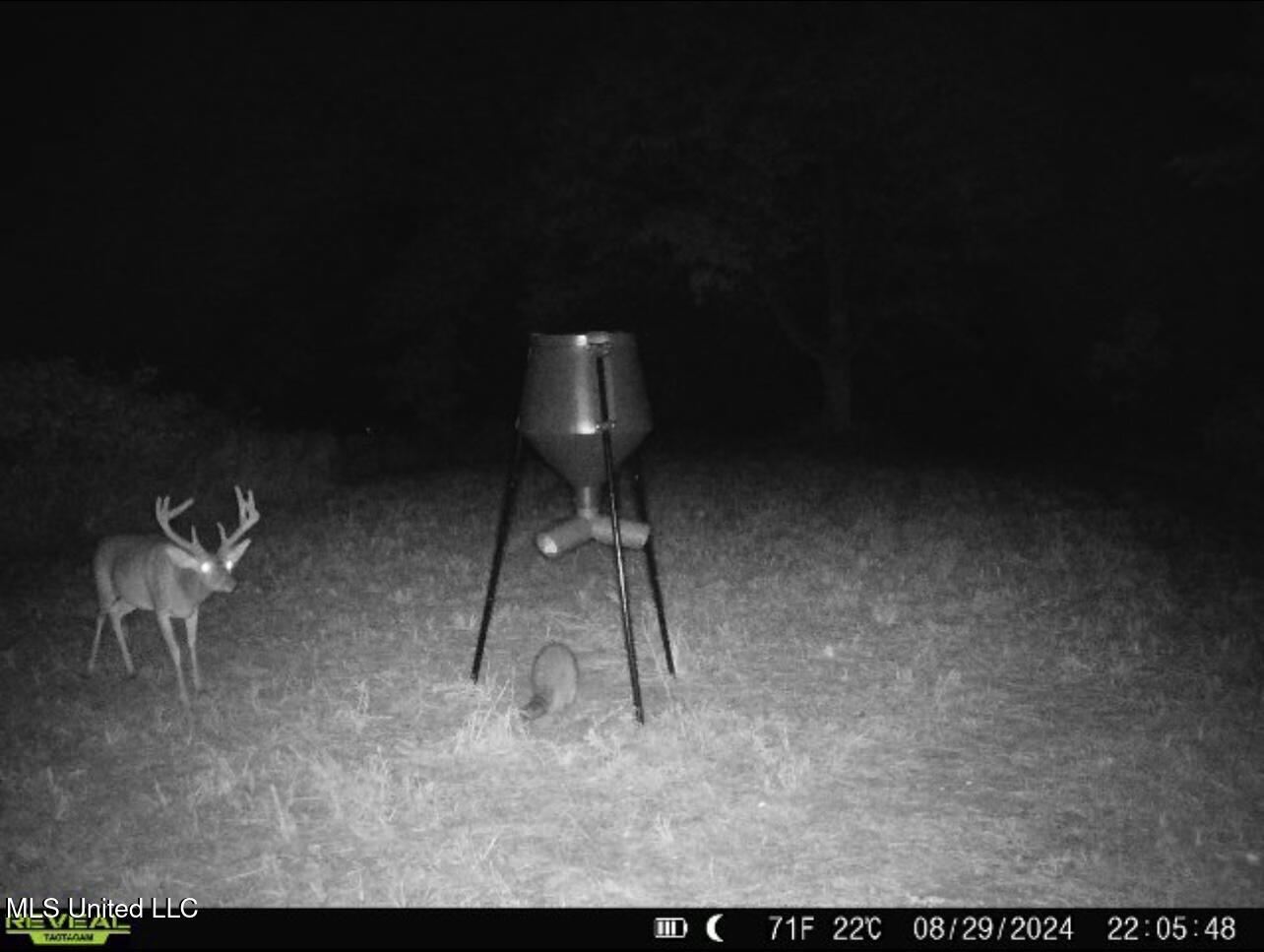 70 County Road Coffeeville, MS 38922 - Photo 42 of 49 IMG_2540