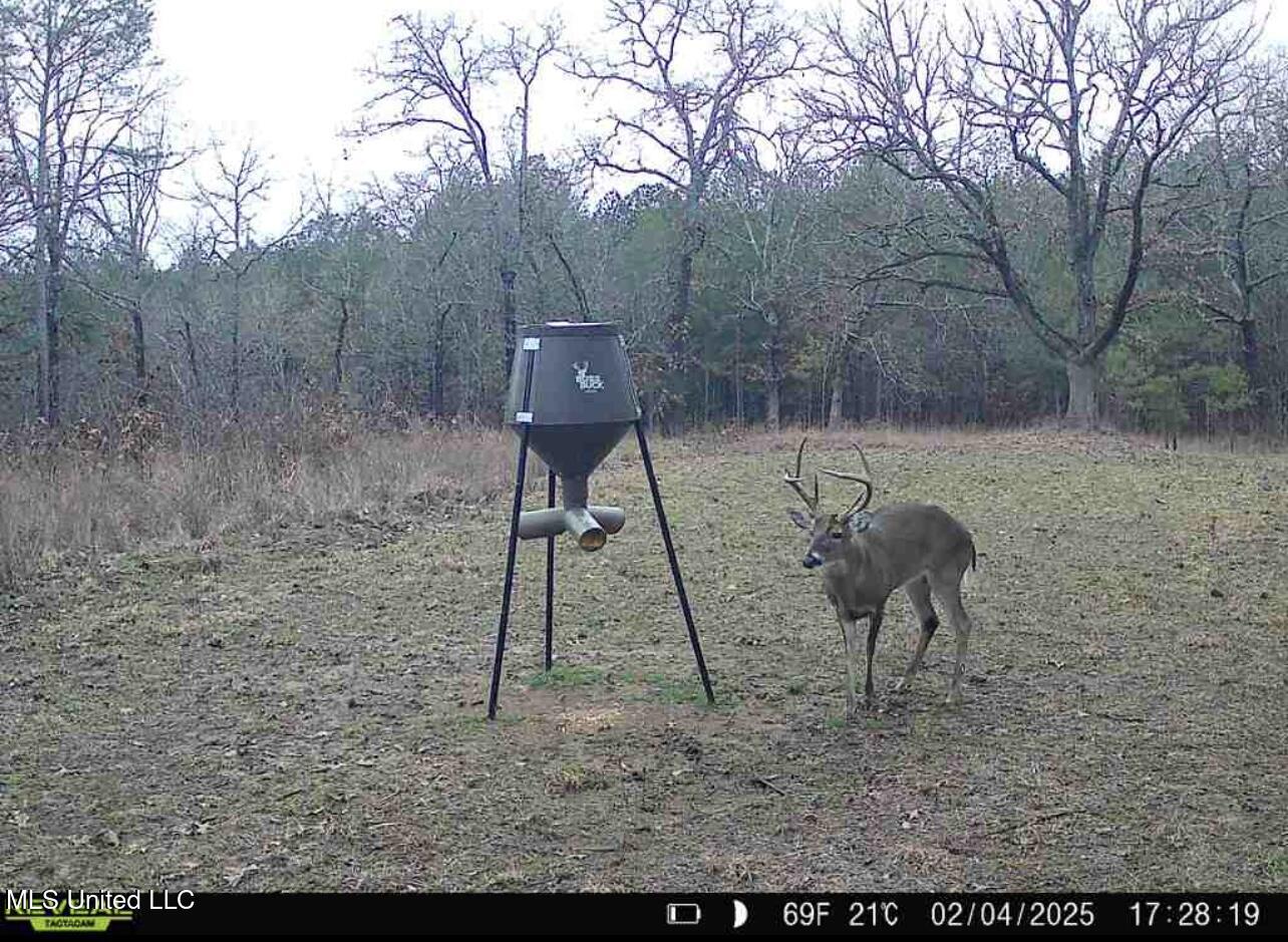 70 County Road Coffeeville, MS 38922 - Photo 43 of 49 IMG_7105