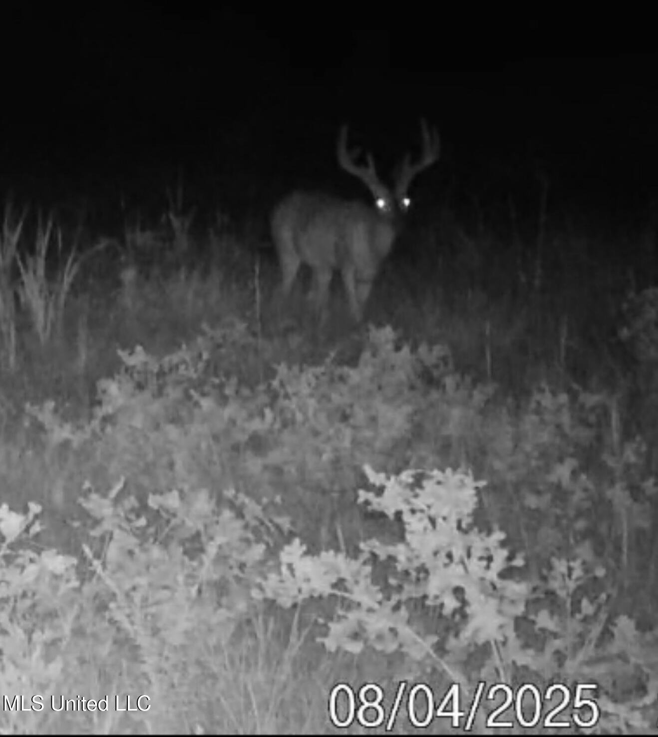 70 County Road Coffeeville, MS 38922 - Photo 44 of 49 IMG_8298