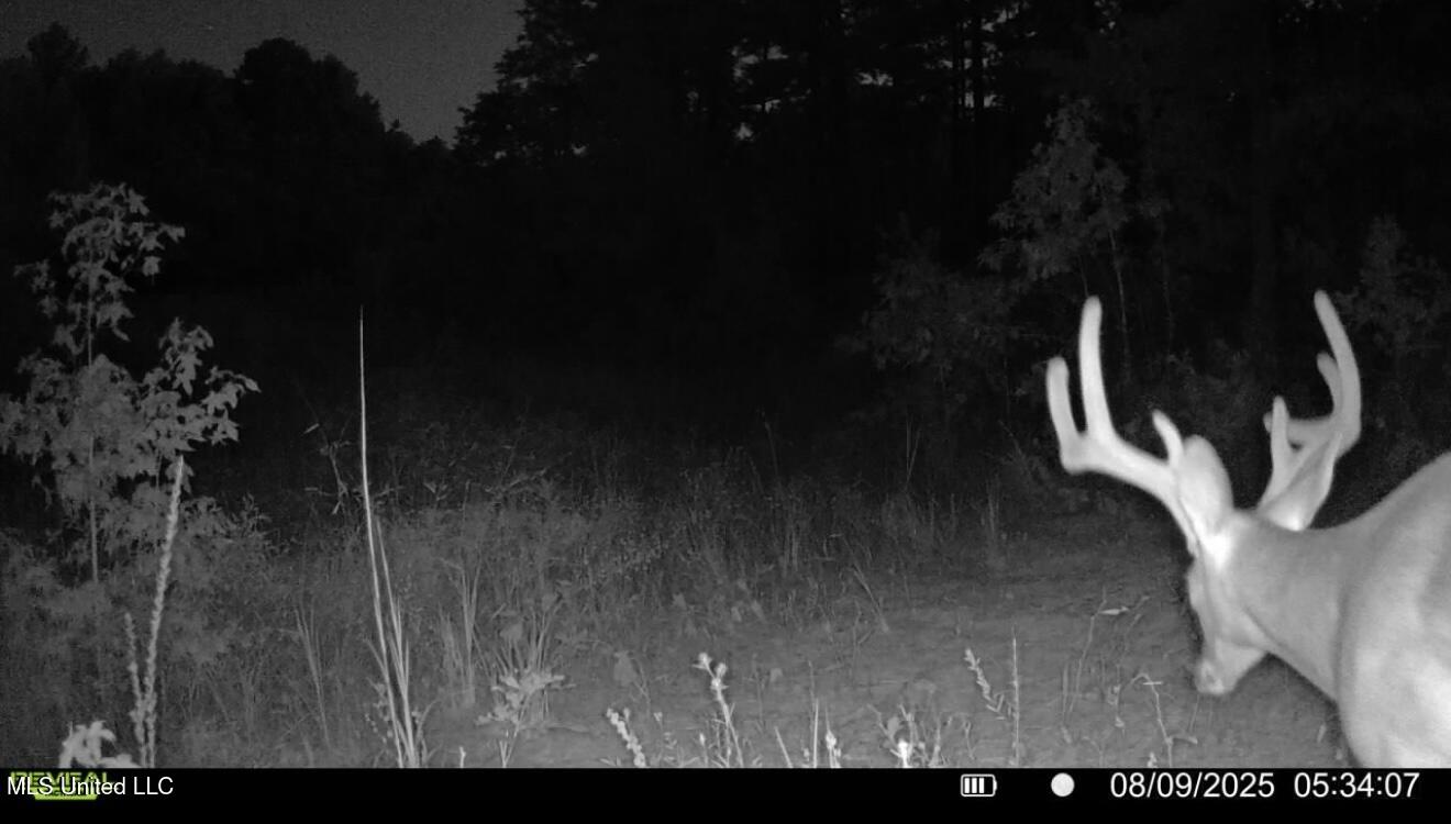 70 County Road Coffeeville, MS 38922 - Photo 45 of 49 IMG_8316