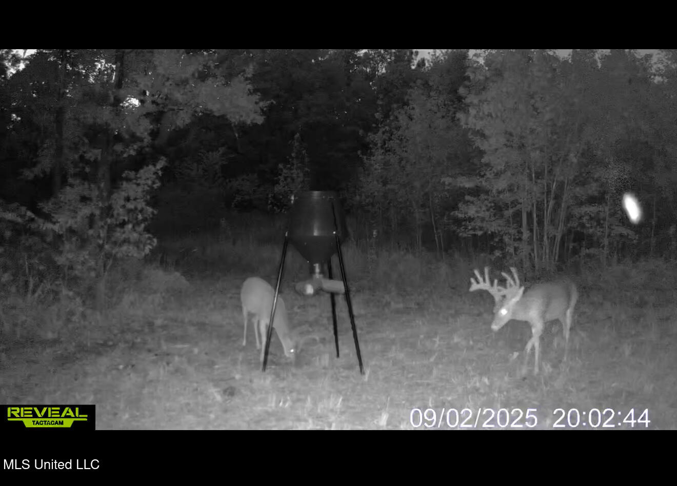 70 County Road Coffeeville, MS 38922 - Photo 46 of 49 IMG_8427