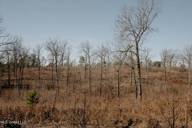 $699,000 | 70 County Road, Coffeeville, MS 38922