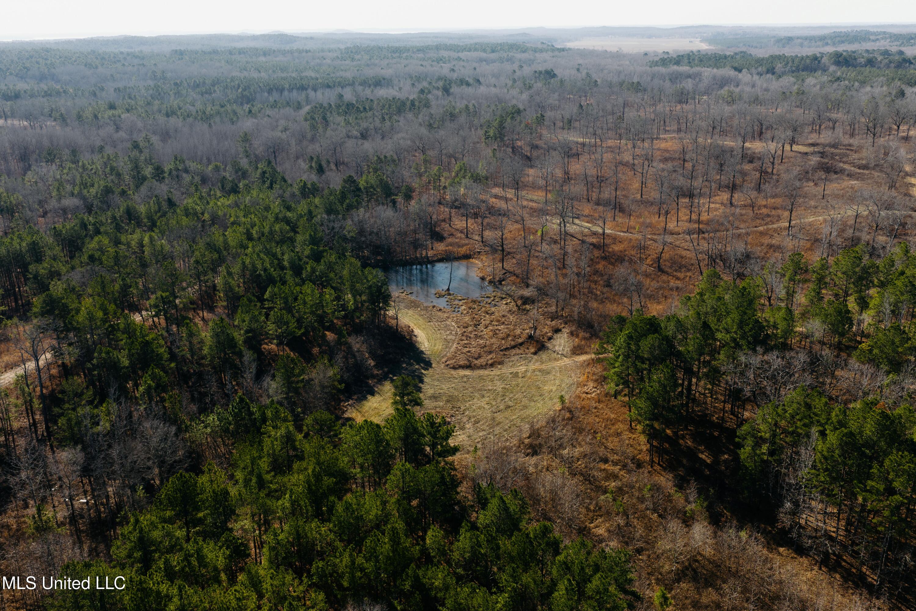 70 County Road Coffeeville, MS 38922 - Photo 6 of 49 1 Drone