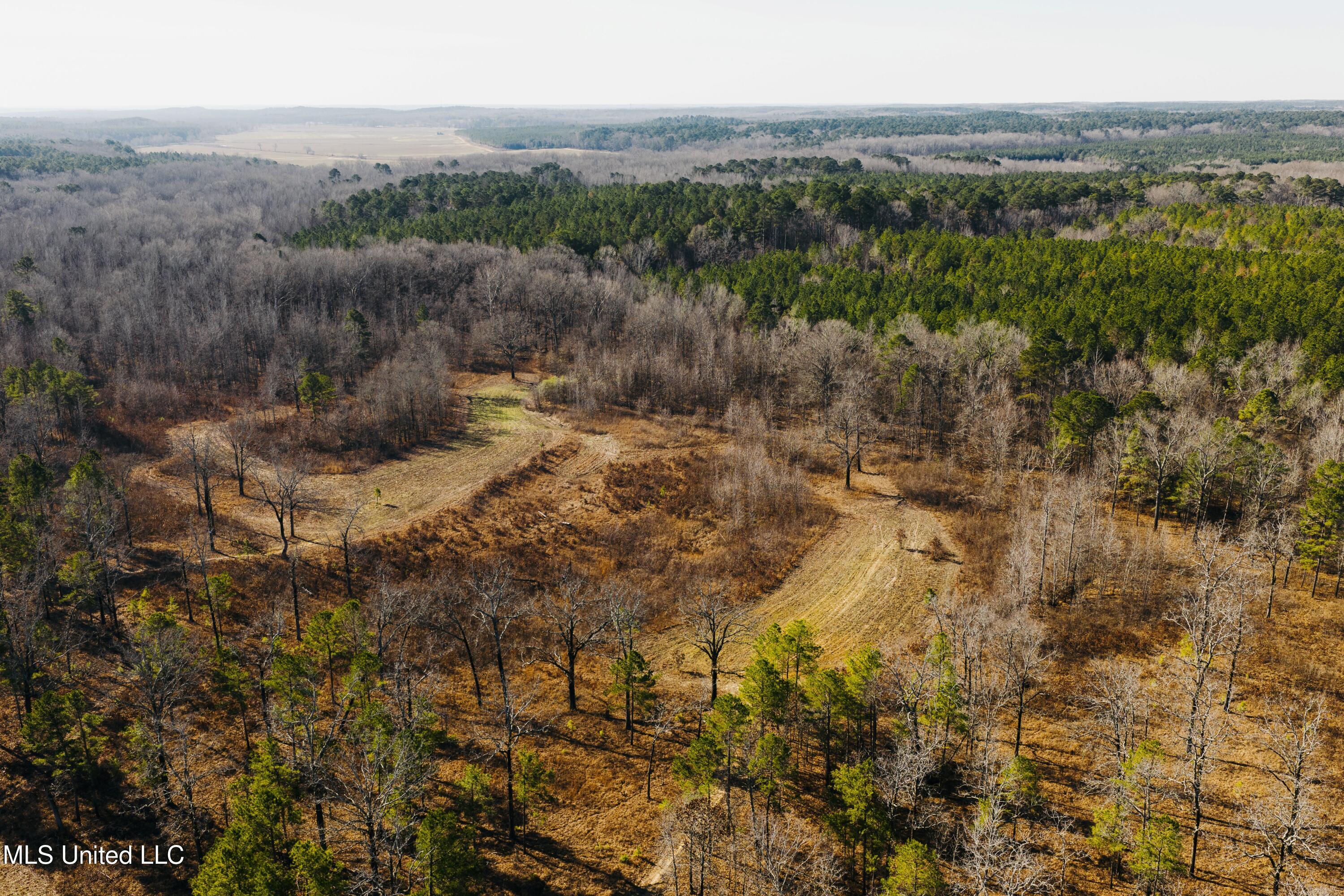 70 County Road Coffeeville, MS 38922 - Photo 7 of 49 2 - Drone