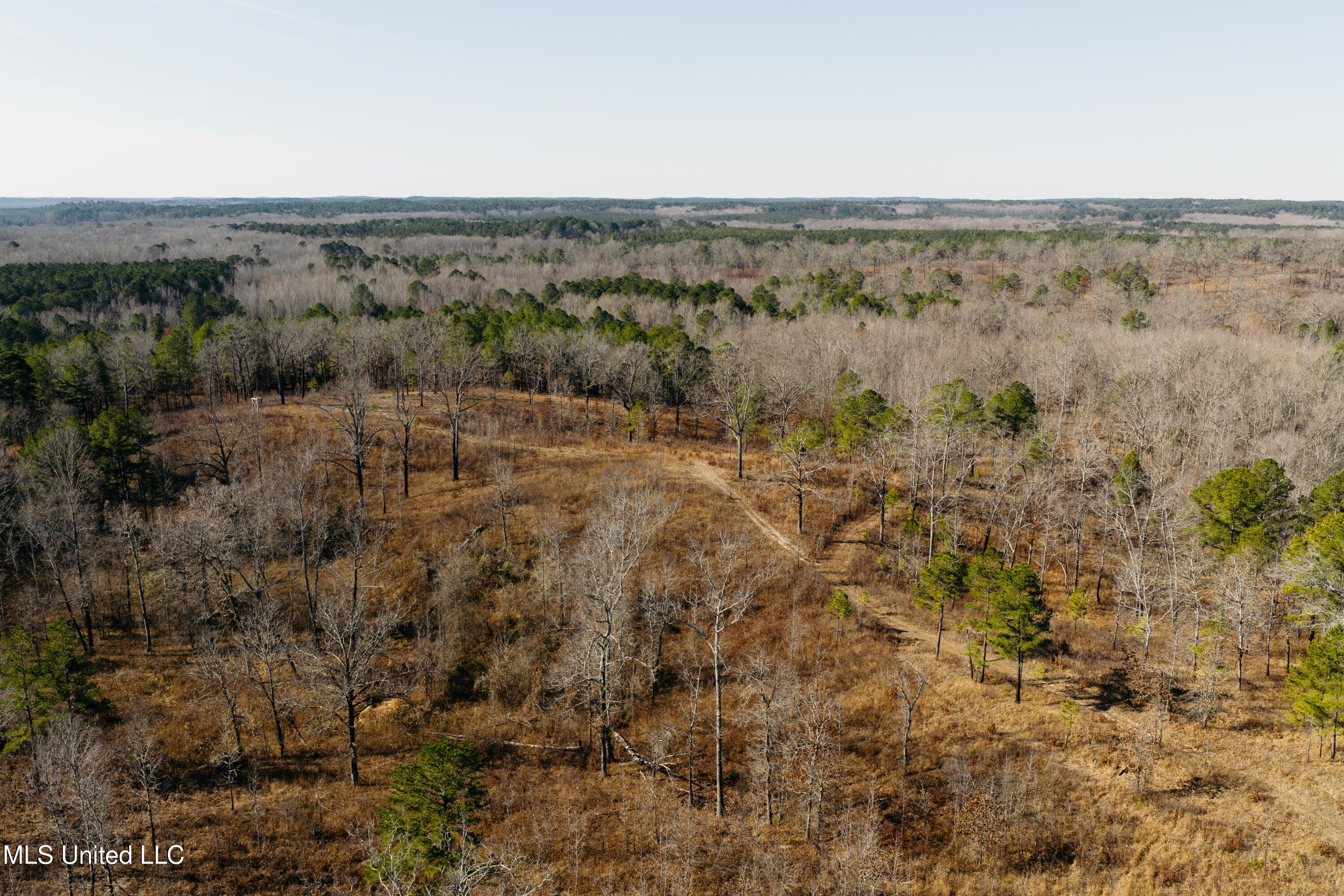70 County Road Coffeeville, MS 38922 - Photo 8 of 49 3 - Drone