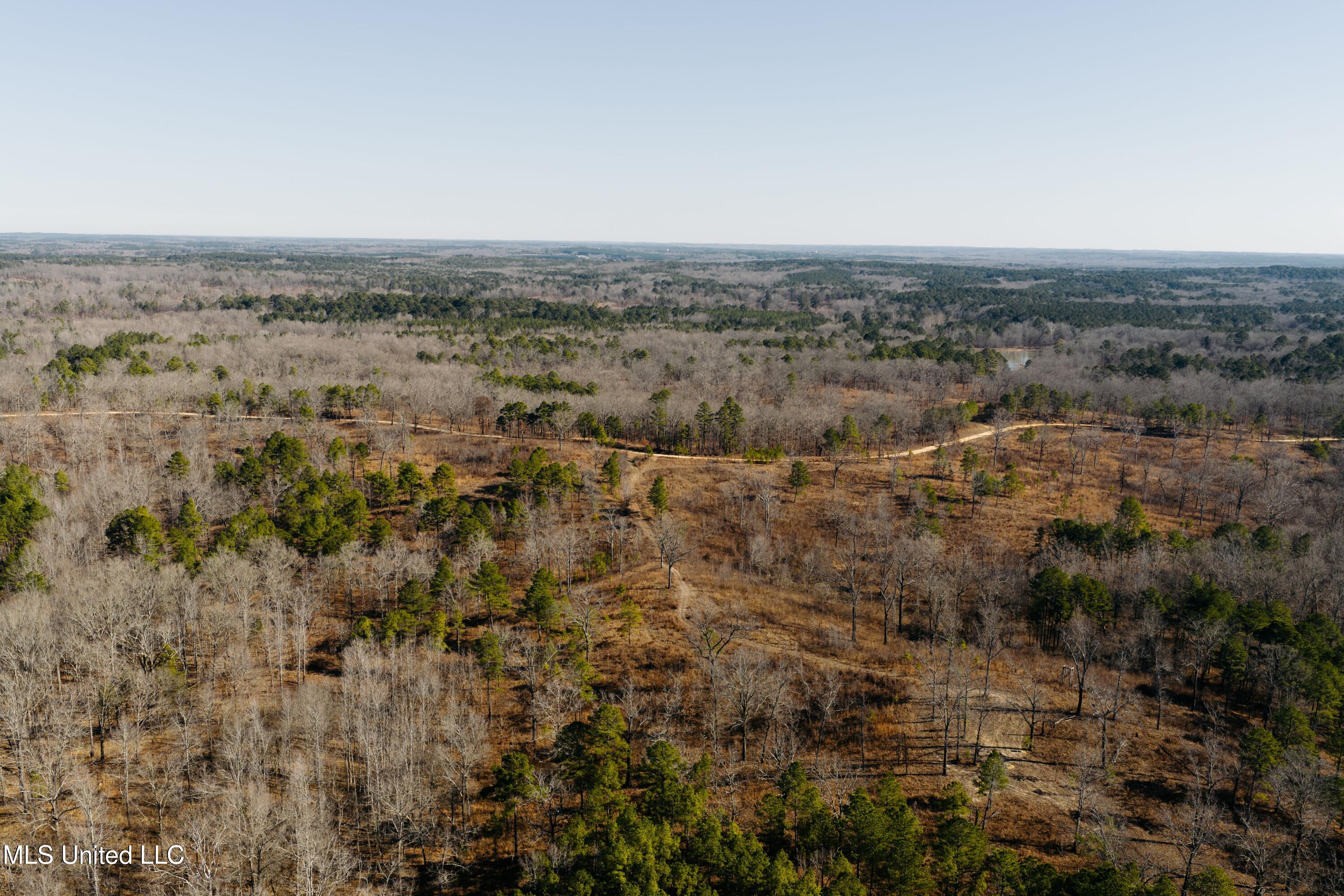 70 County Road Coffeeville, MS 38922 - Photo 10 of 49 5 - Drone