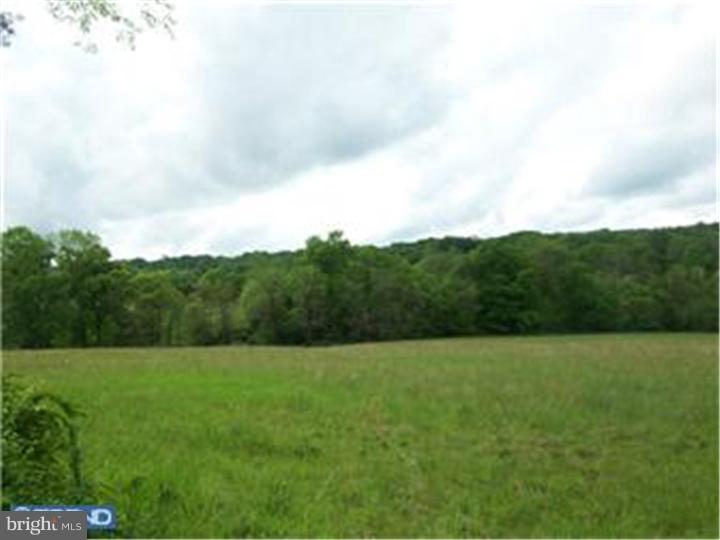 Lot 53 Permanent School Road Erwinna, PA 18920 - Photo 1 of 9 Gallery Image 1