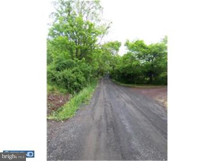 Lot 53 Permanent School Road Erwinna, PA 18920 - Photo 3 of 9 Gallery Image 3